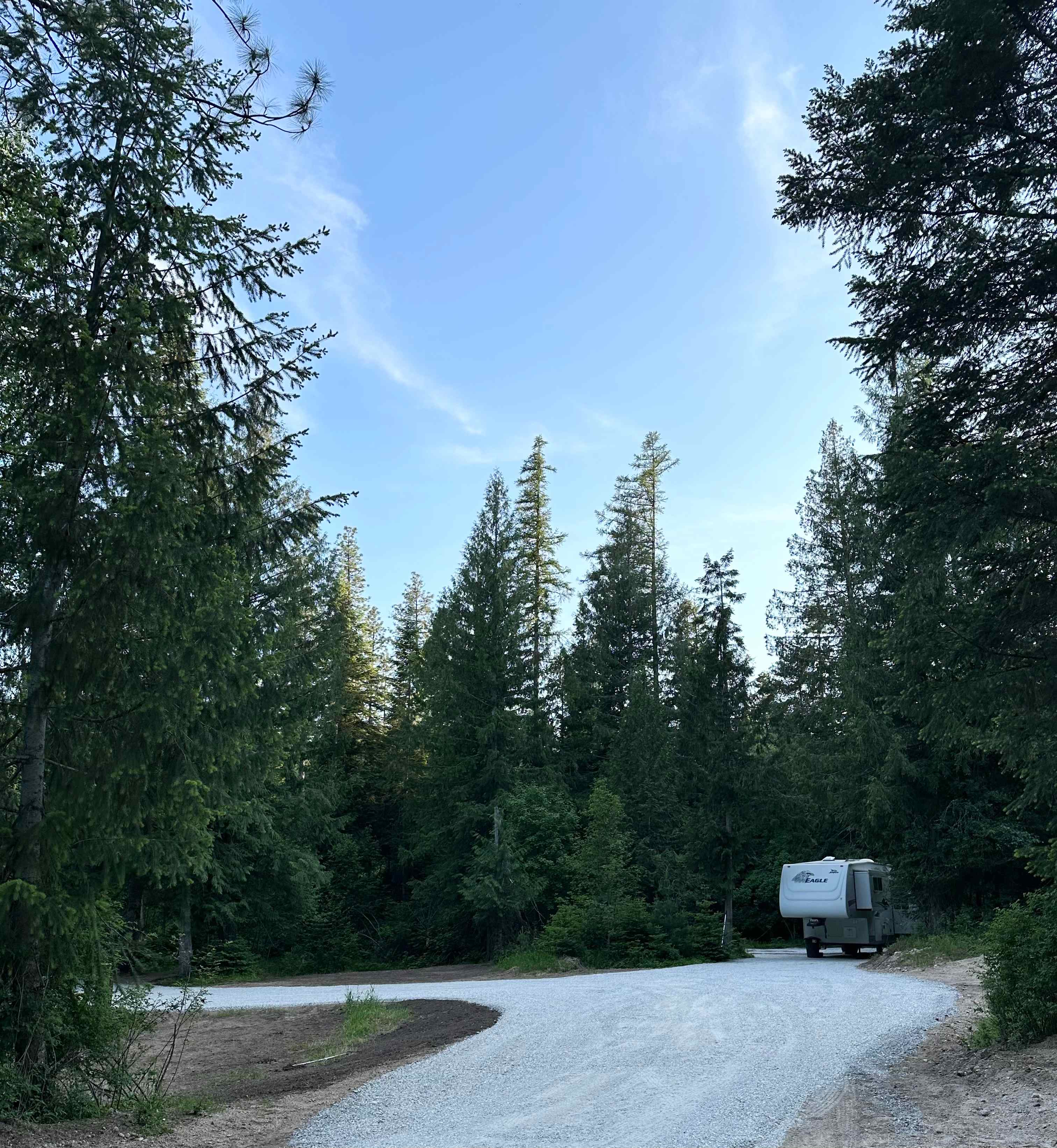Turnipseed Creek Campsites