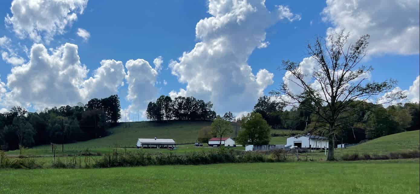 You will have view of the whole farm