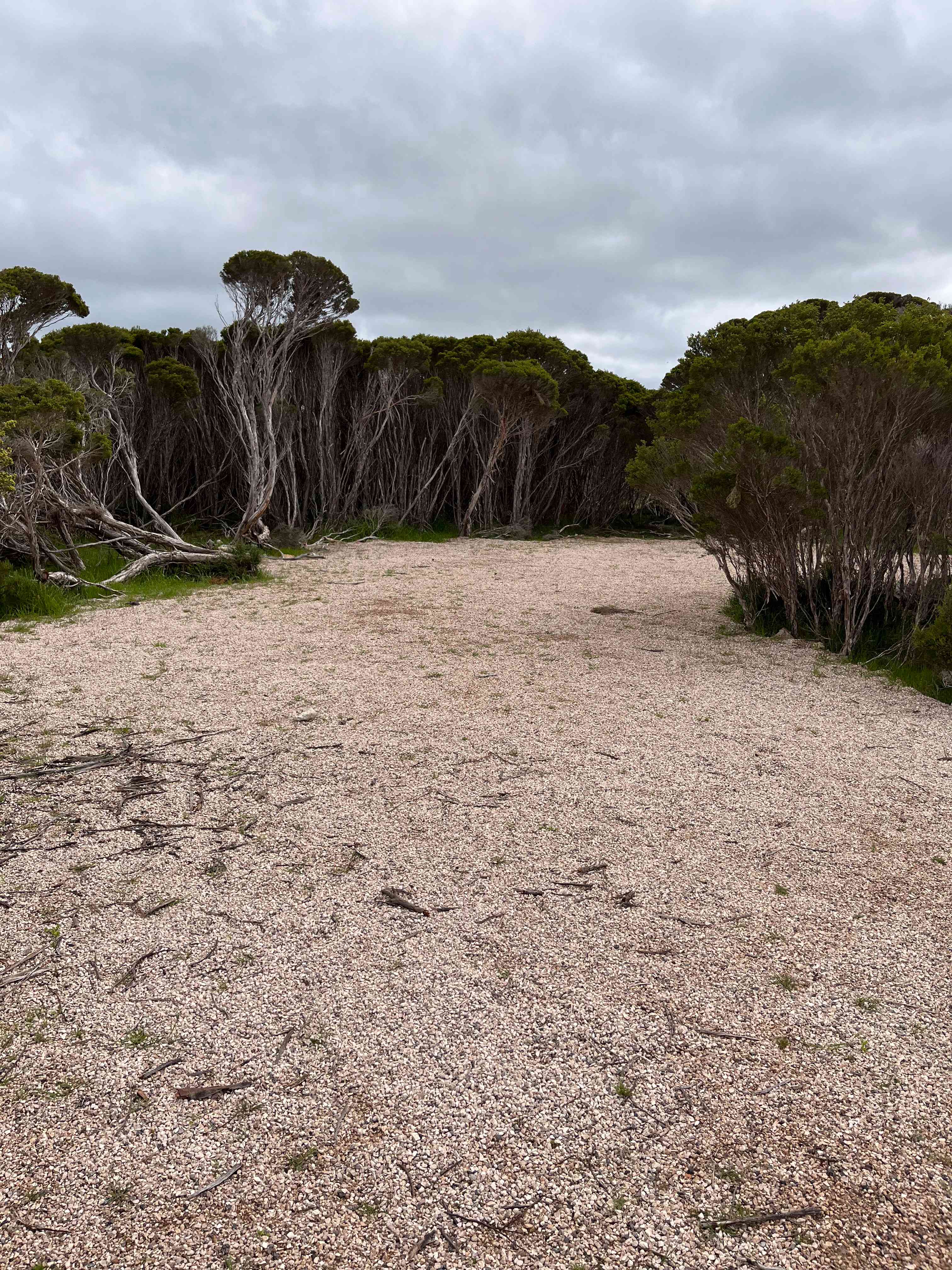 Marion Bay Bush Camping