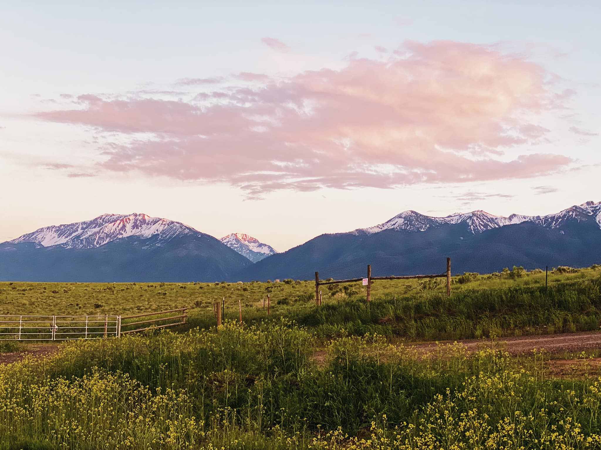 Spring views from the property 