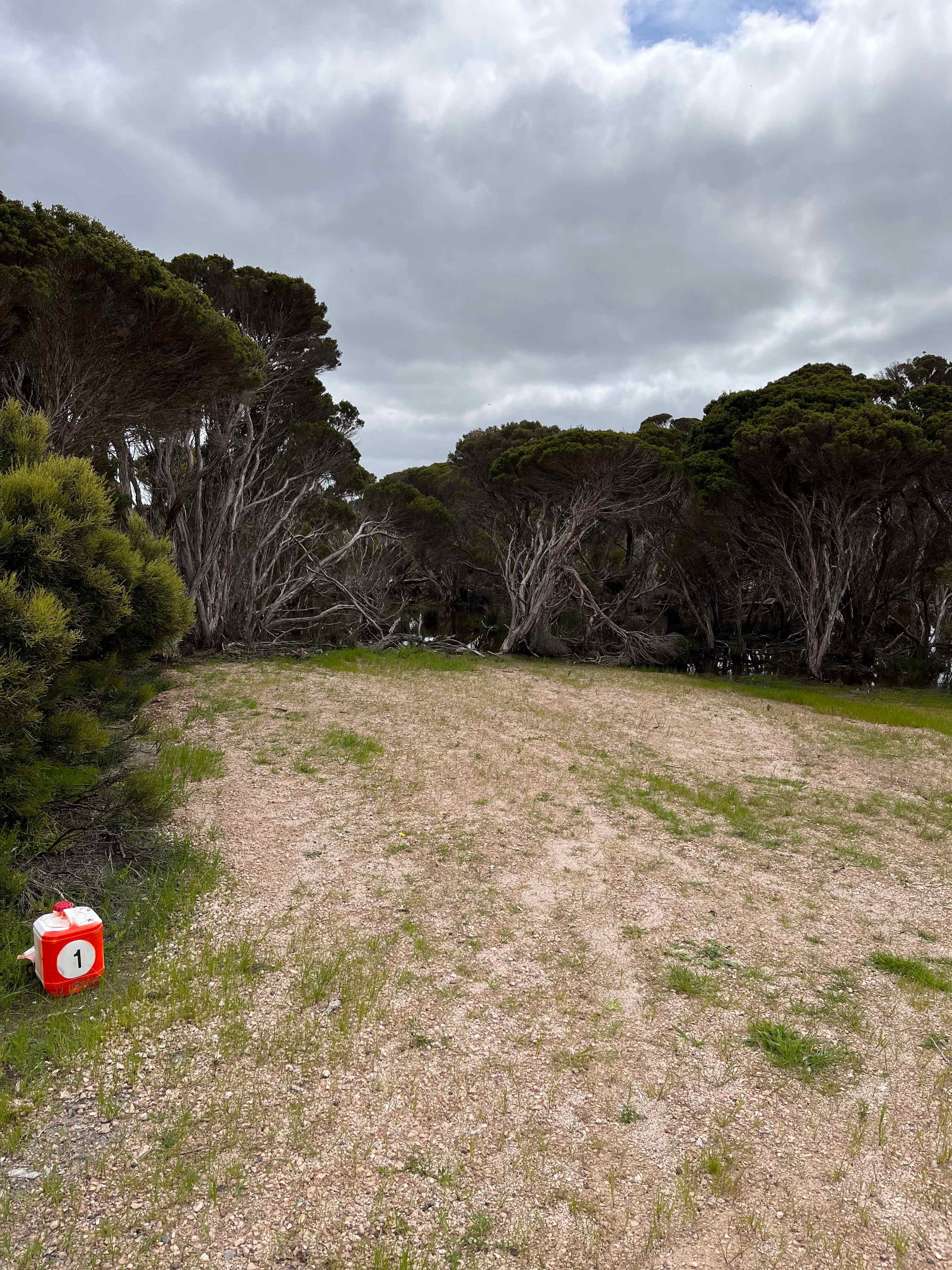 Marion Bay Bush Camping