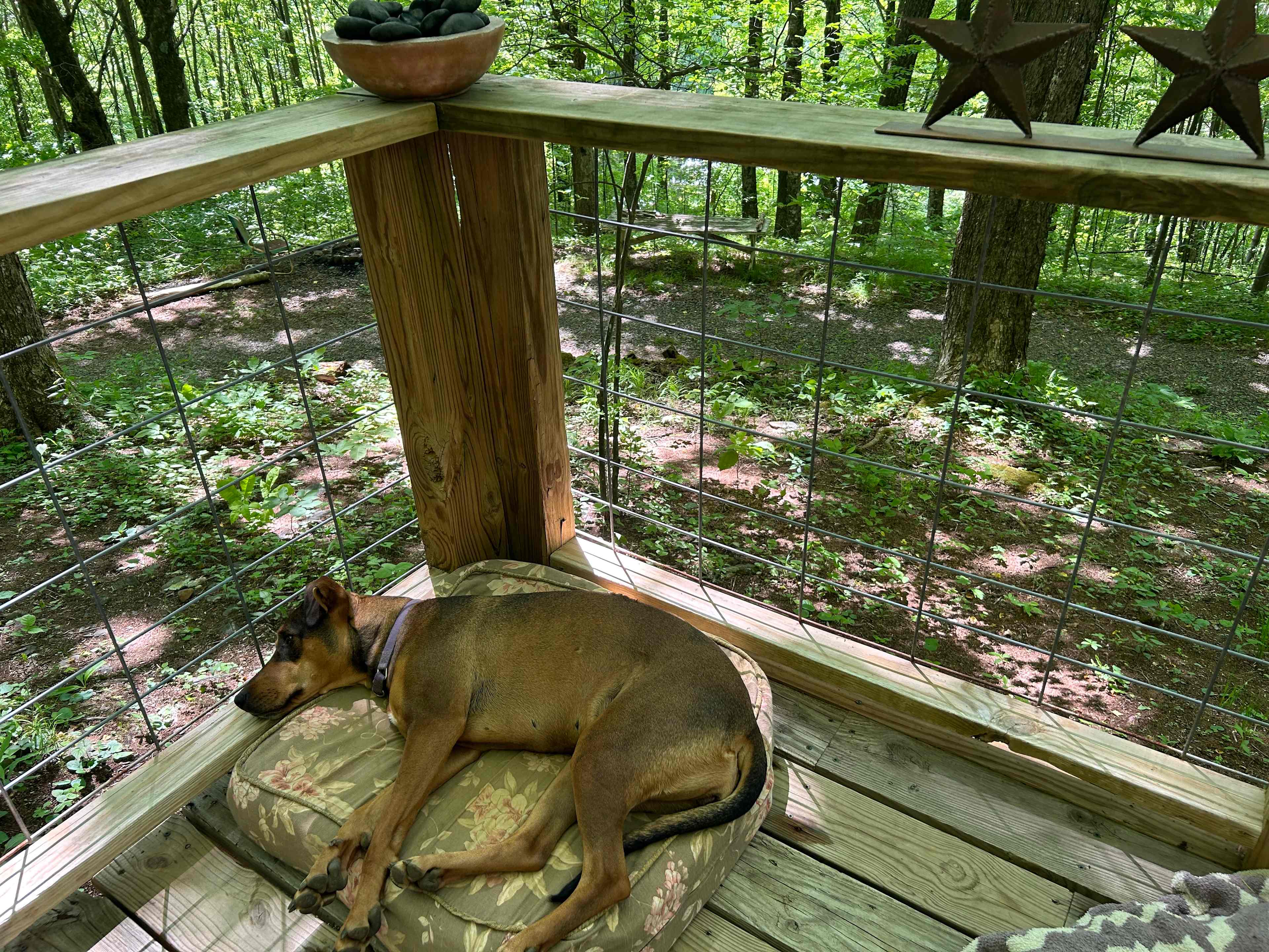 Longhope Mountain Glamping