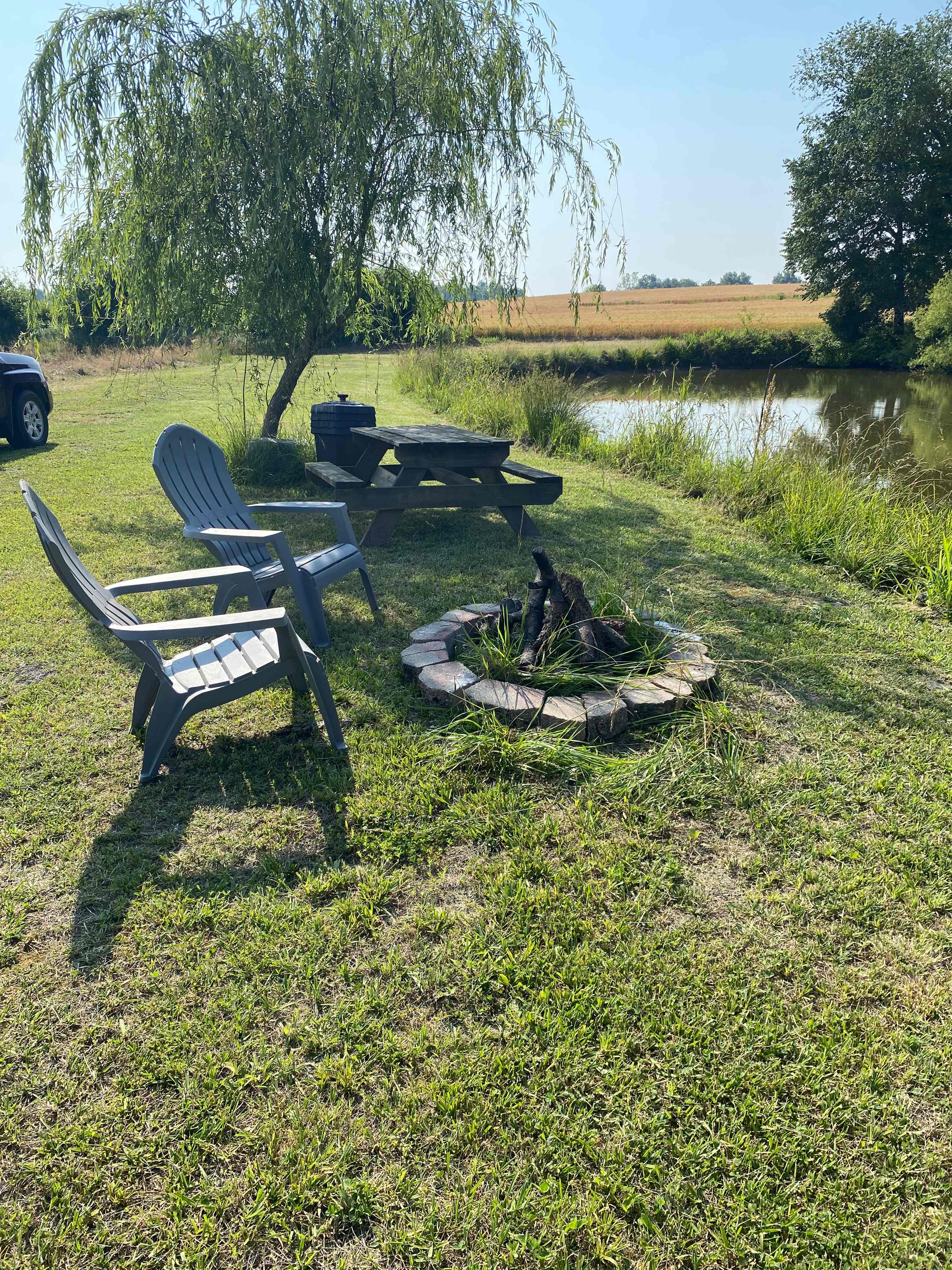 Willow Pond