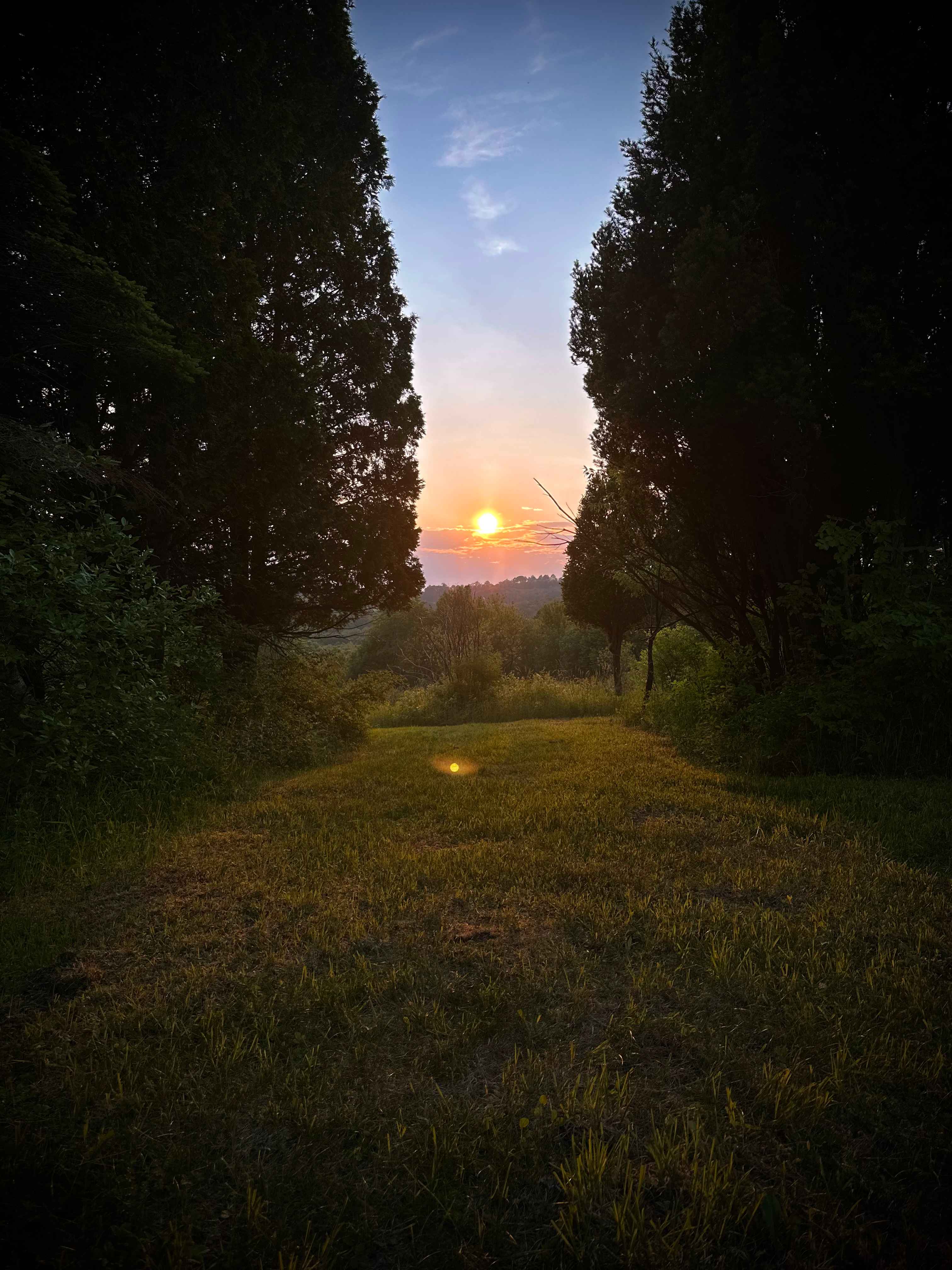 Top of the hill