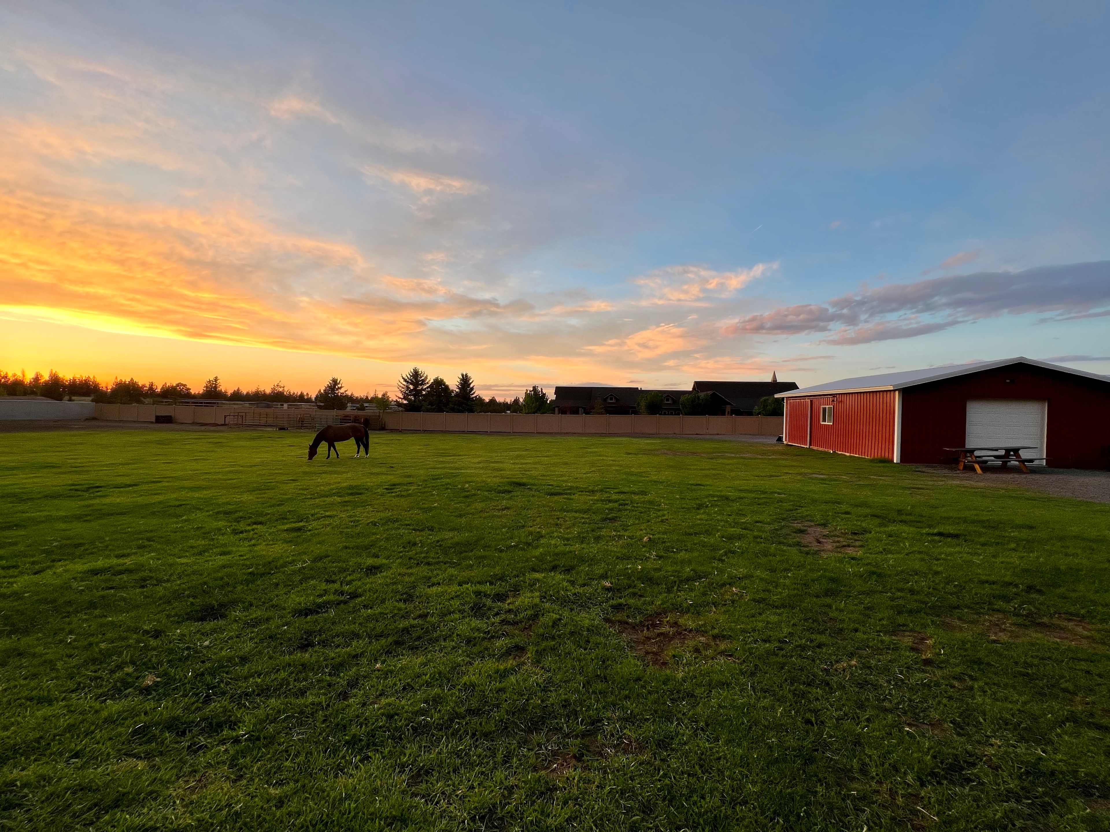 Little Acres Farm