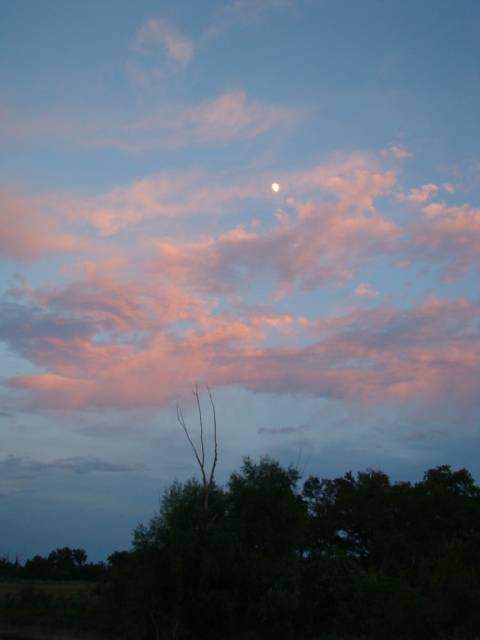 The Navasota River Ranch