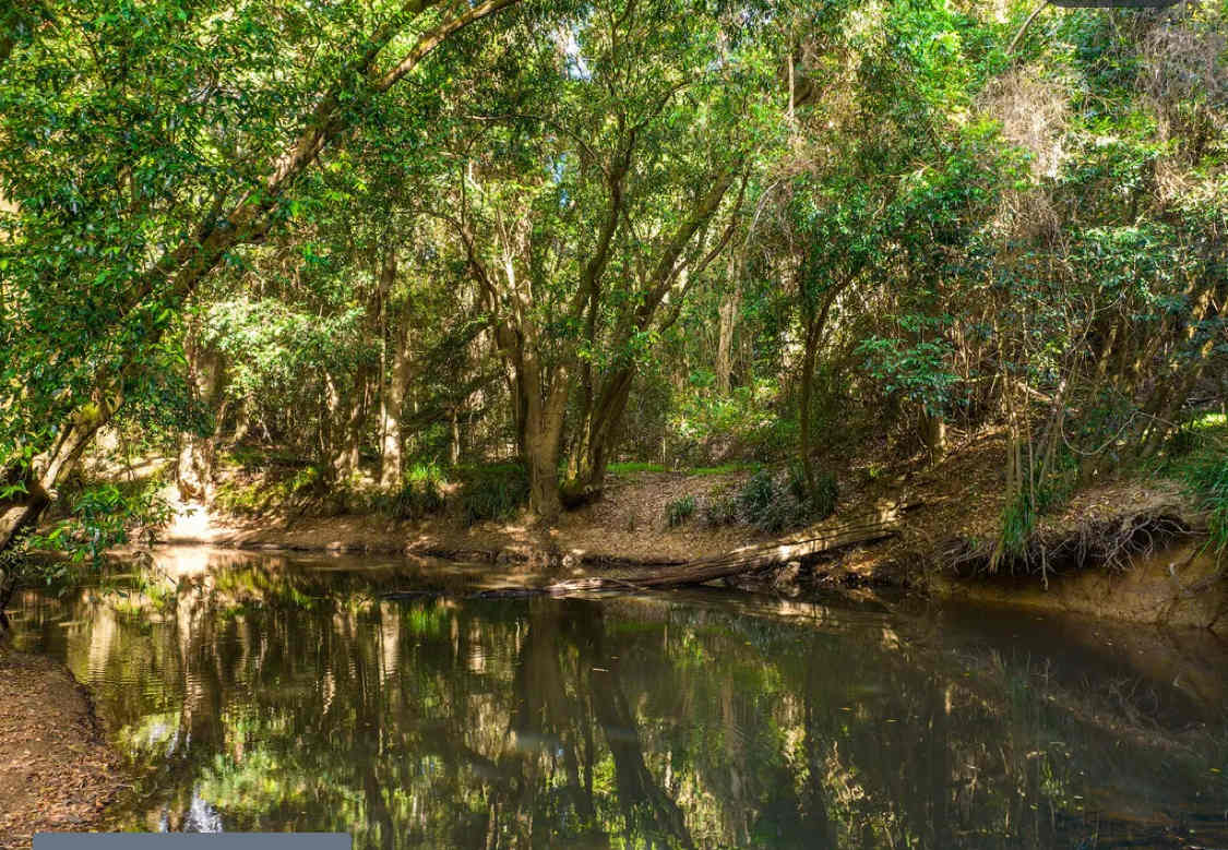 Swimming hole