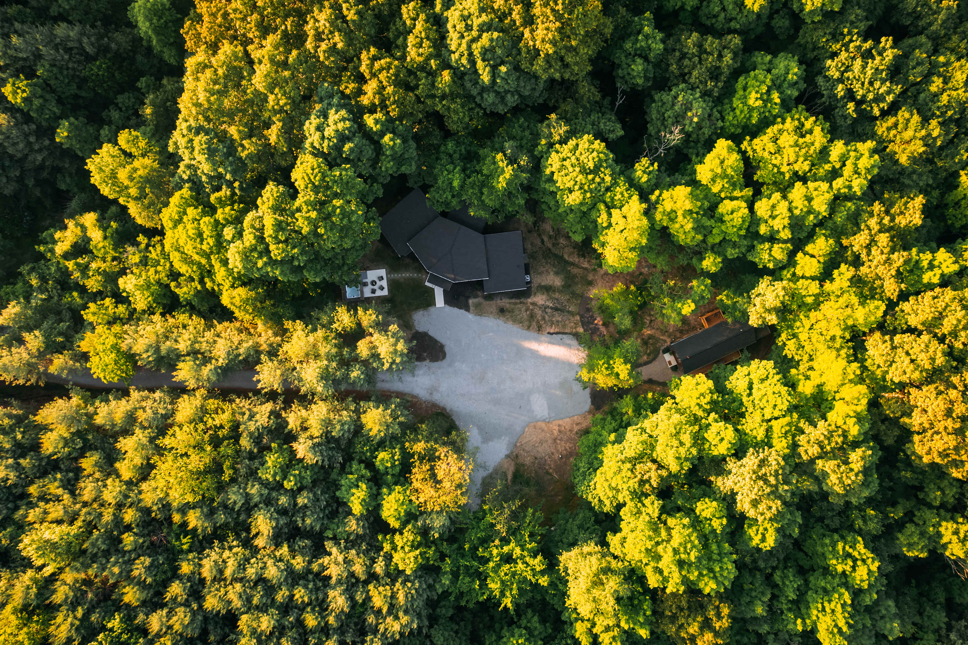 Did we mention we're in the forest?