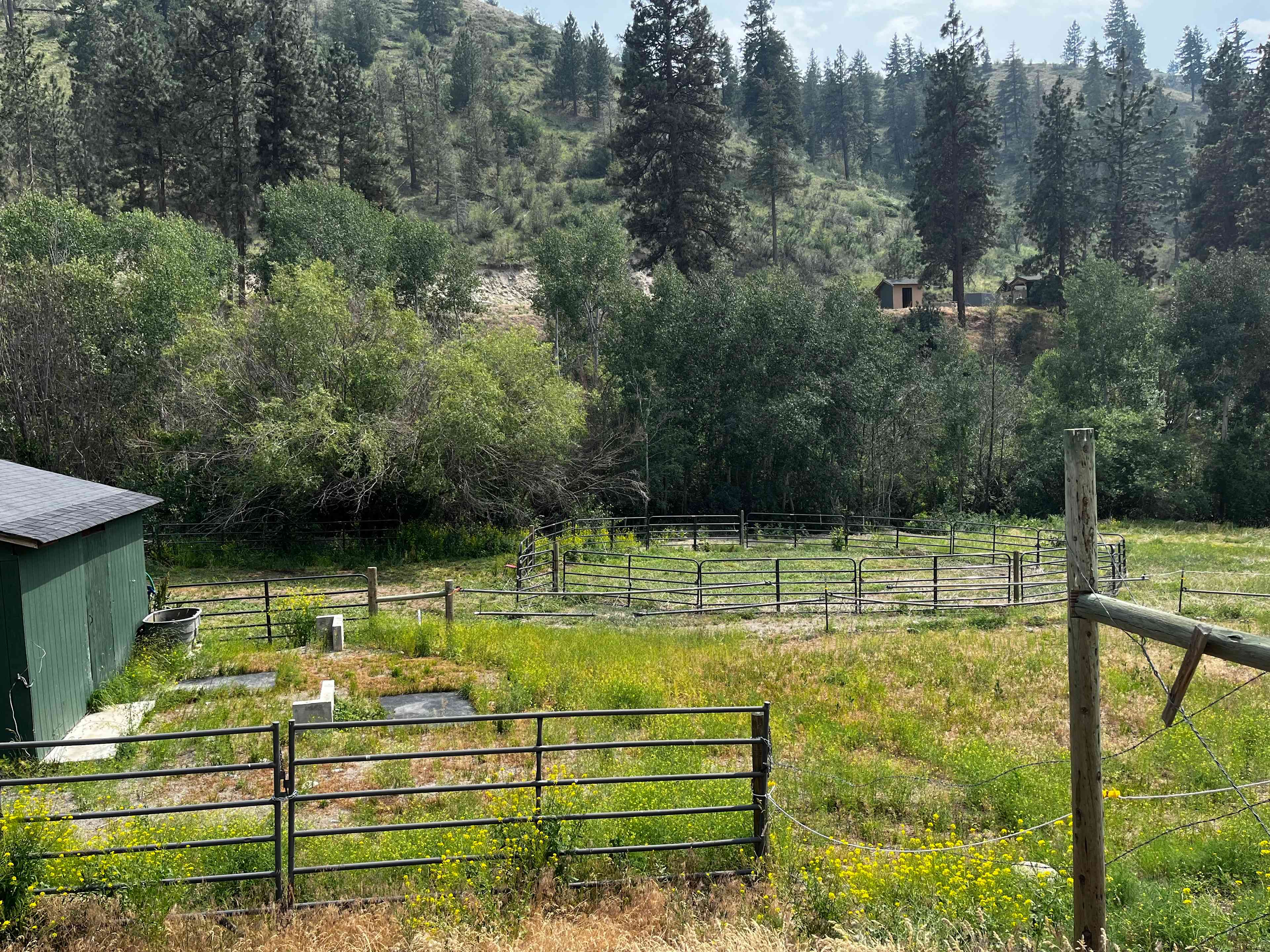 Barn and pasture 