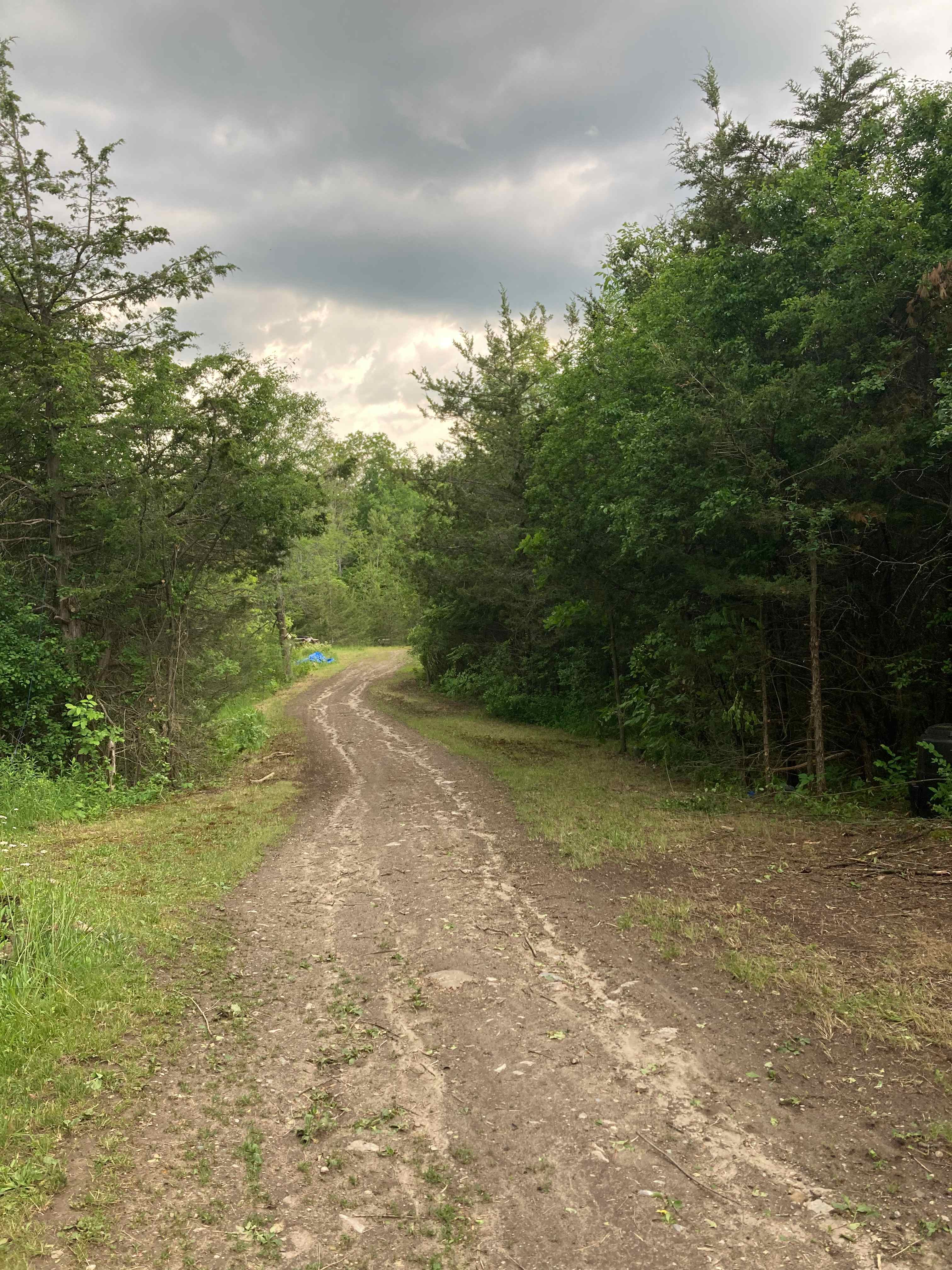 Headed down from our house to the overflow parking. Turn left at the bottom and go about the same distance threw the woods to the beginning  the campsite 