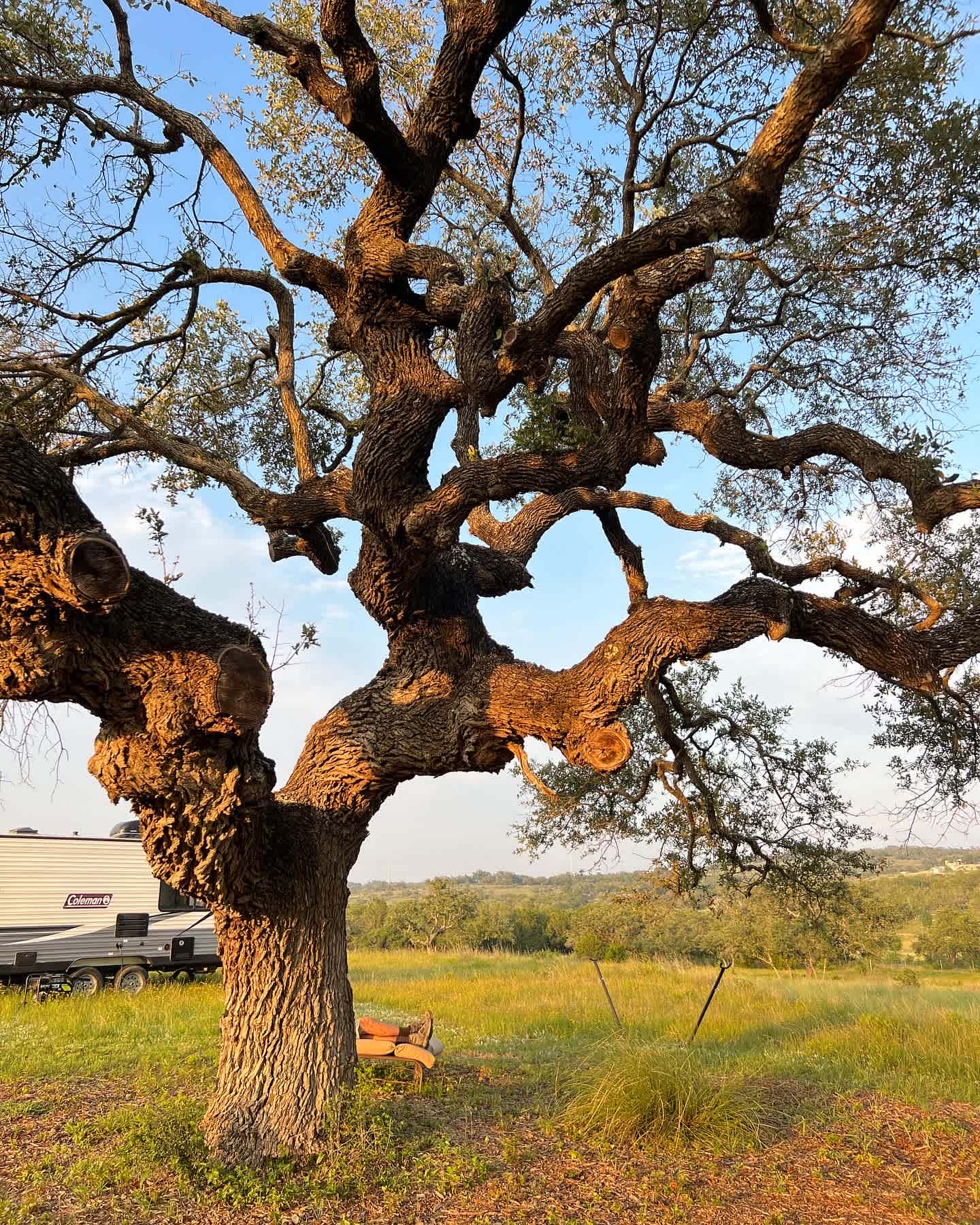 Whispering Oak Ranch