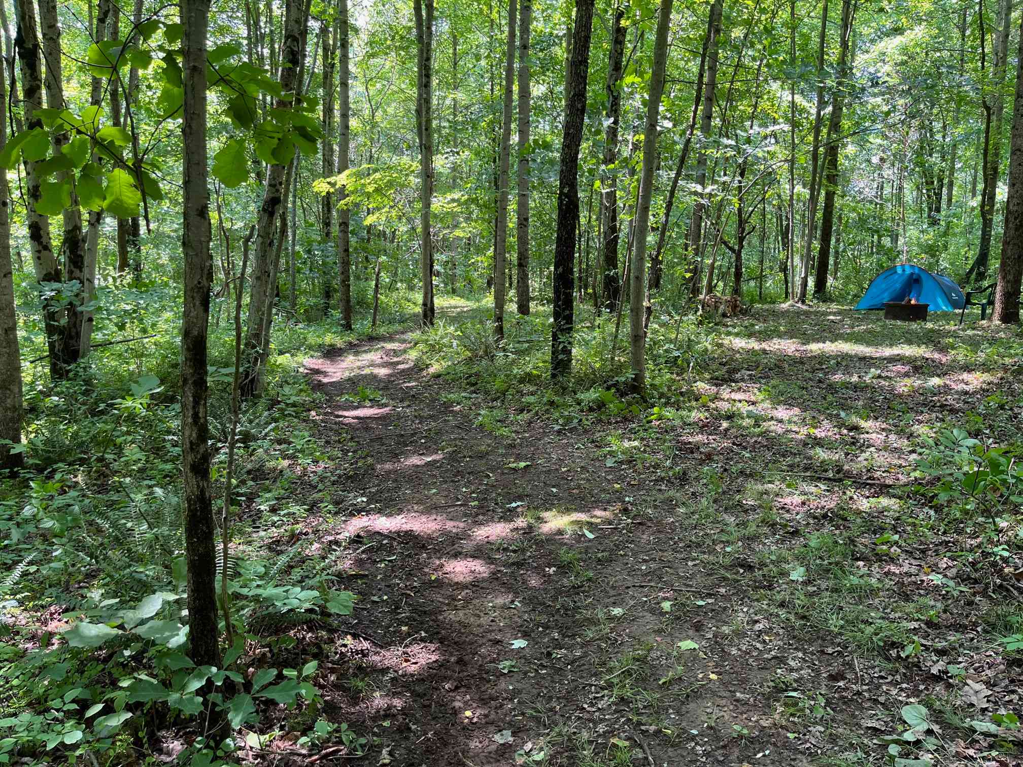The Campsite at Dragonfly Lake