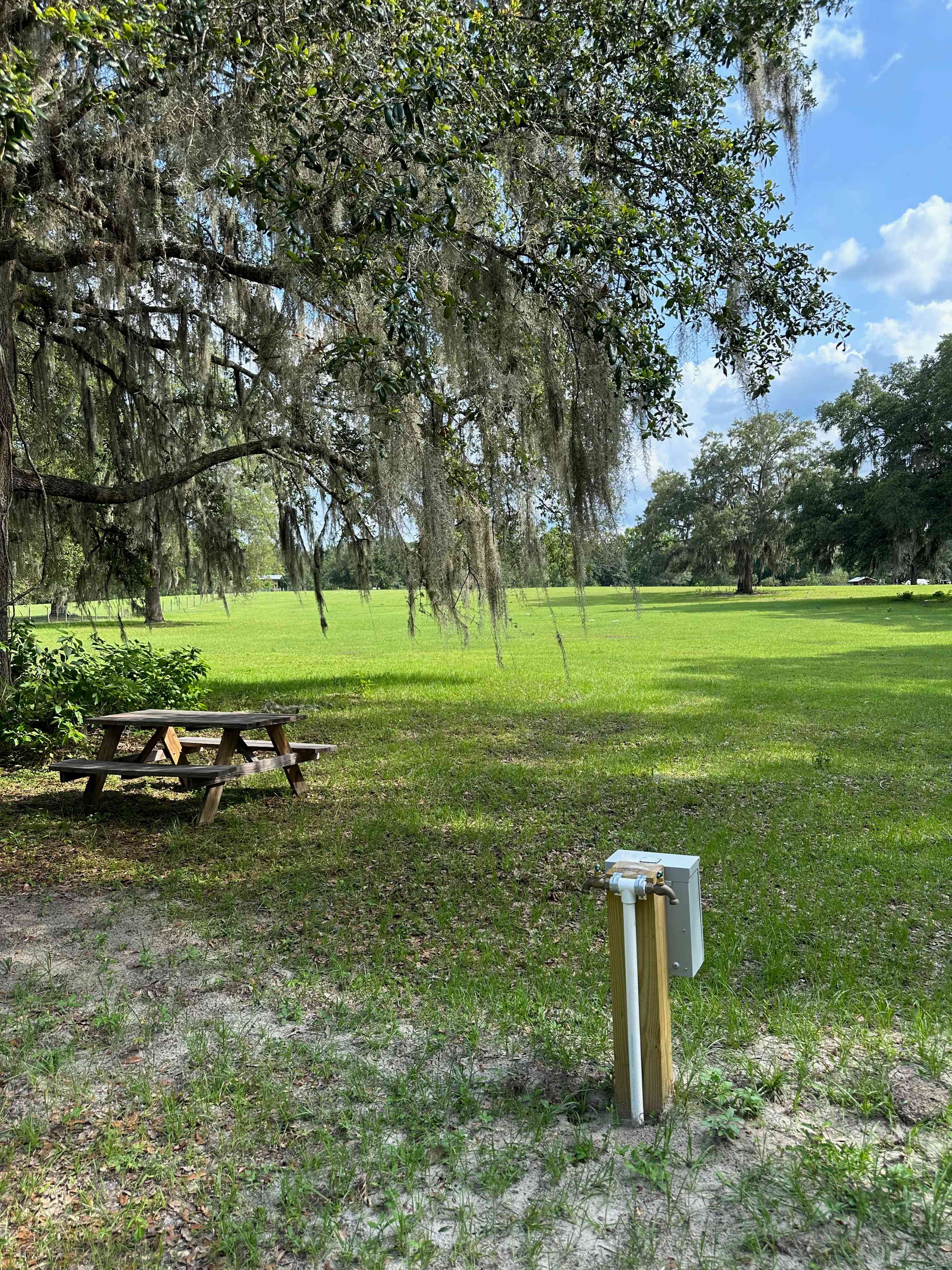 Peacefield Farm Sanctuary