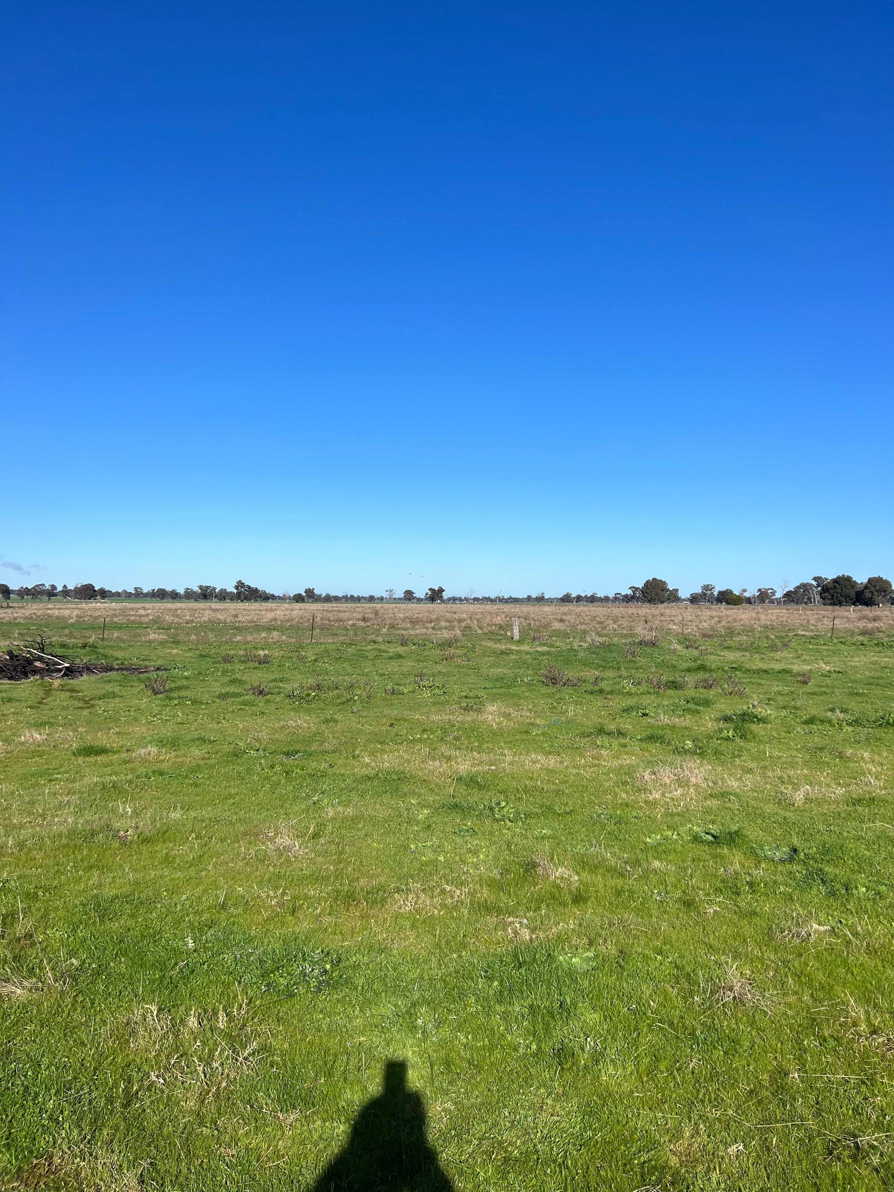 Roseneath Bundalong