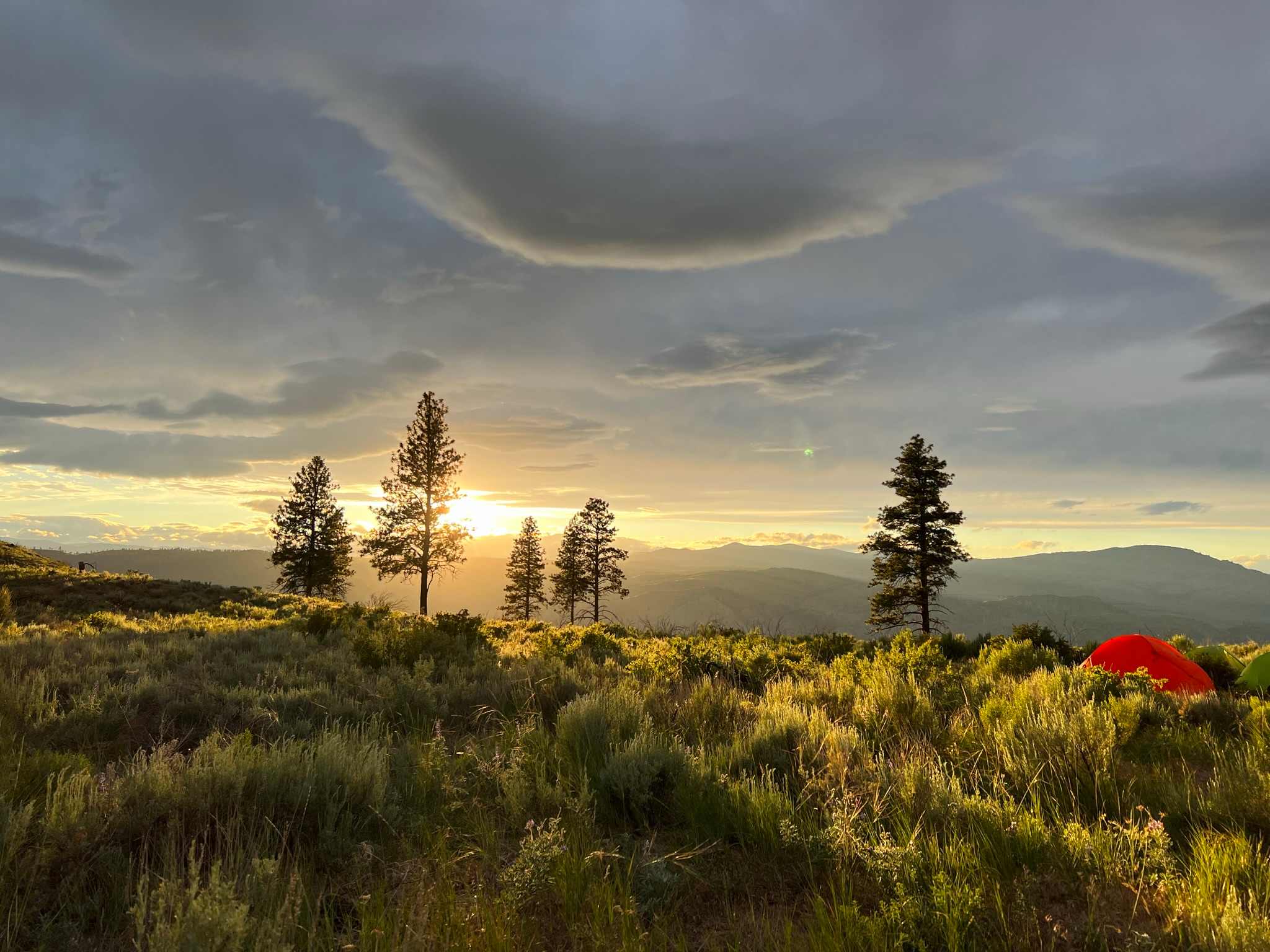 Sagebrush Hollow