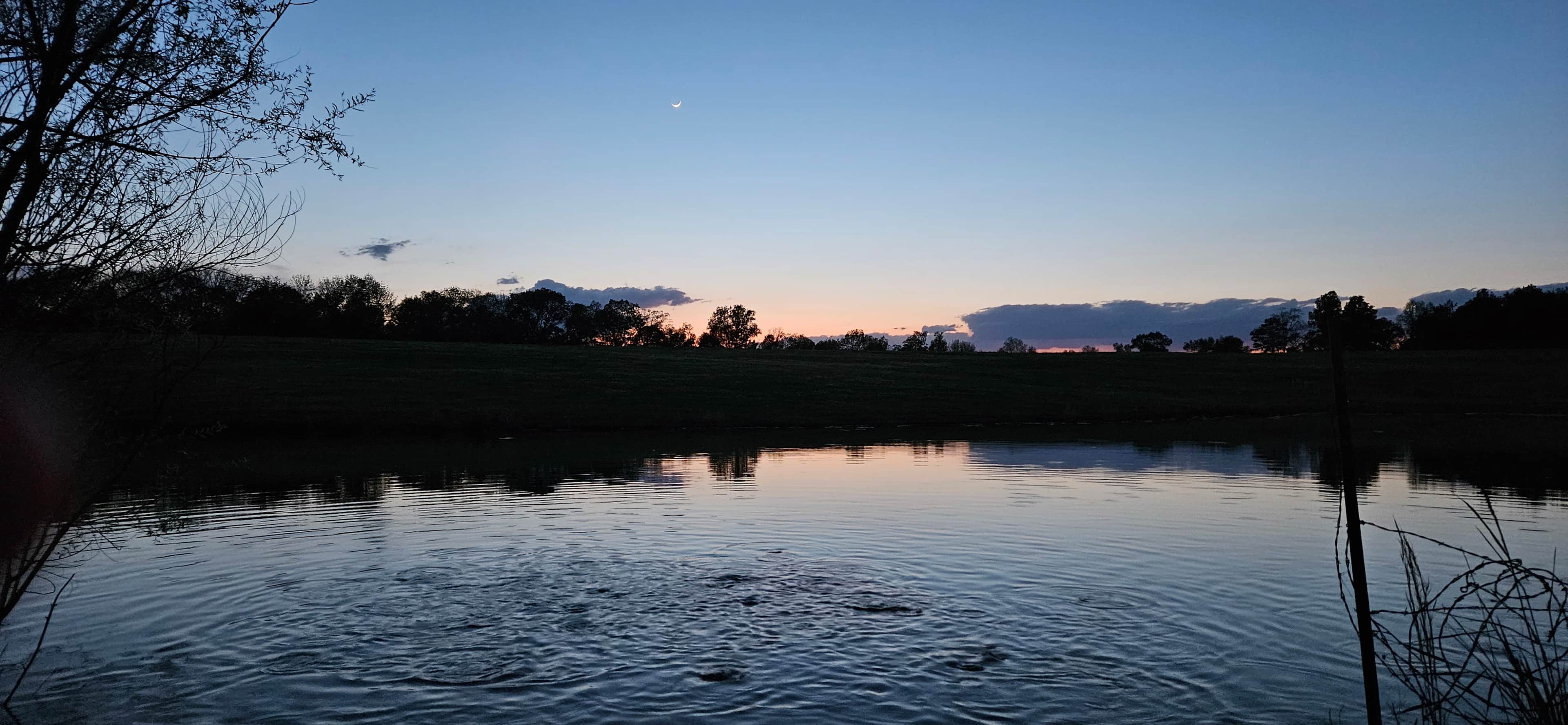 Catfish Pond