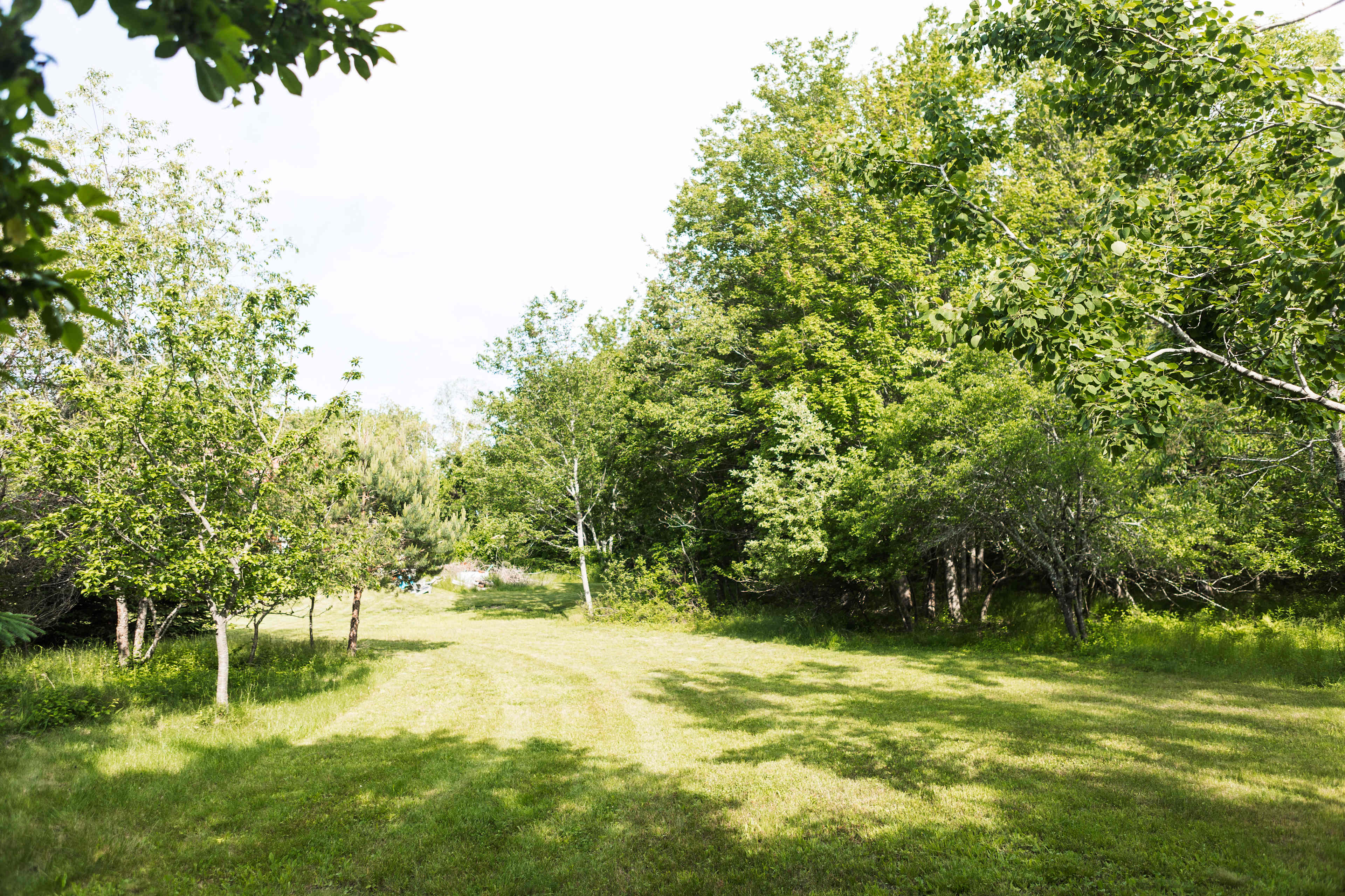 entrance into the campsite 