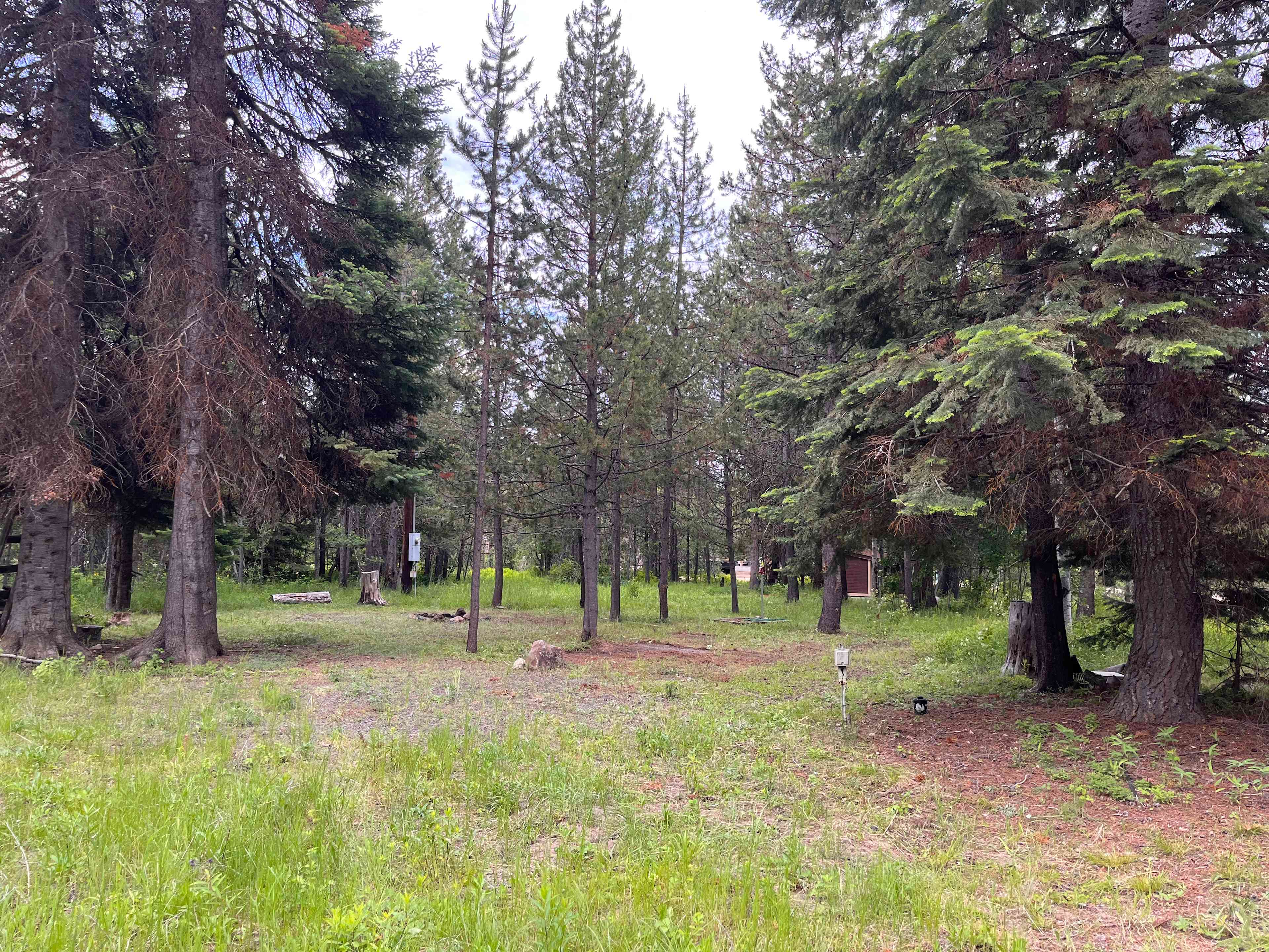 Osprey Glade
