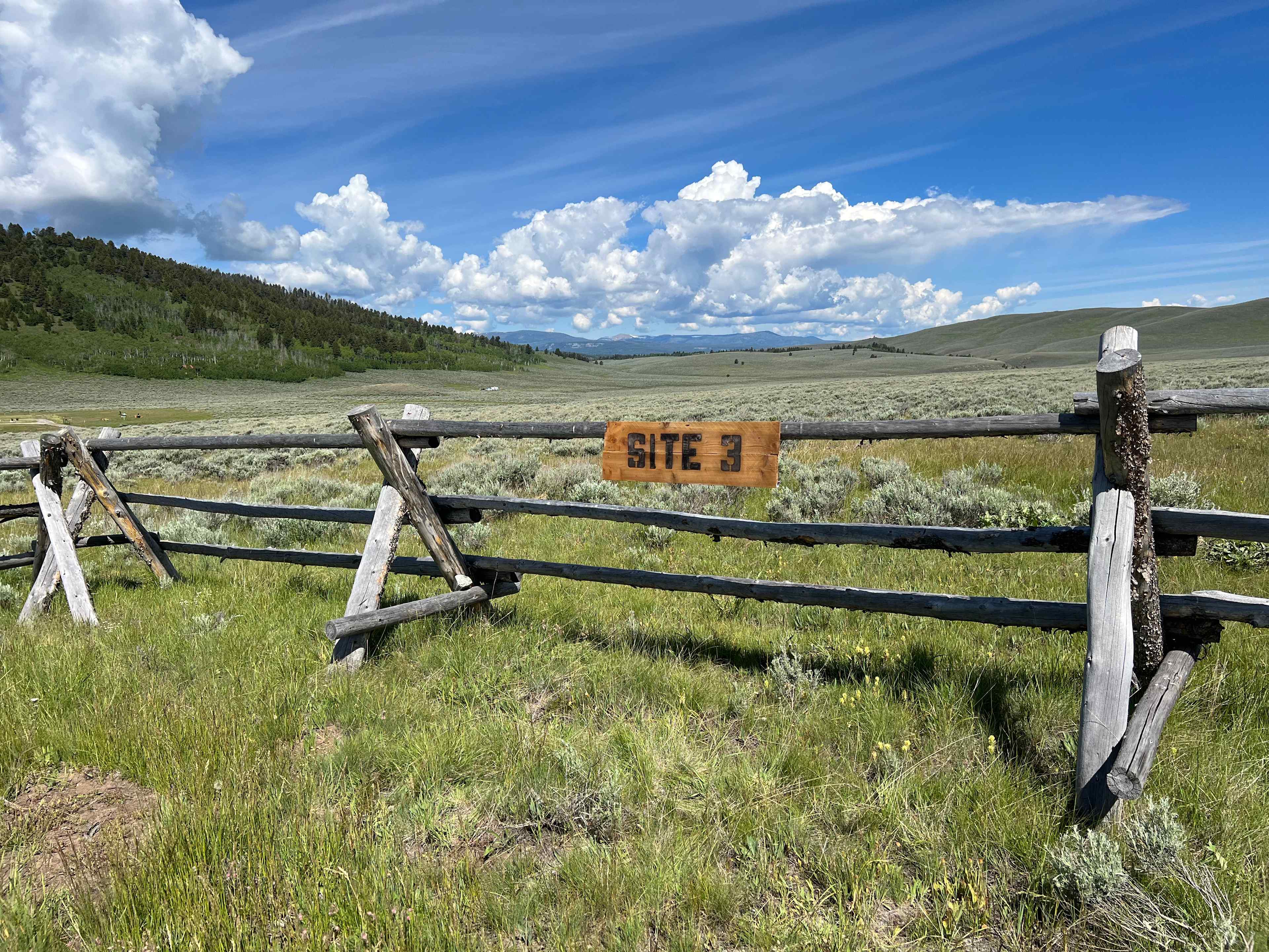 Site 3
