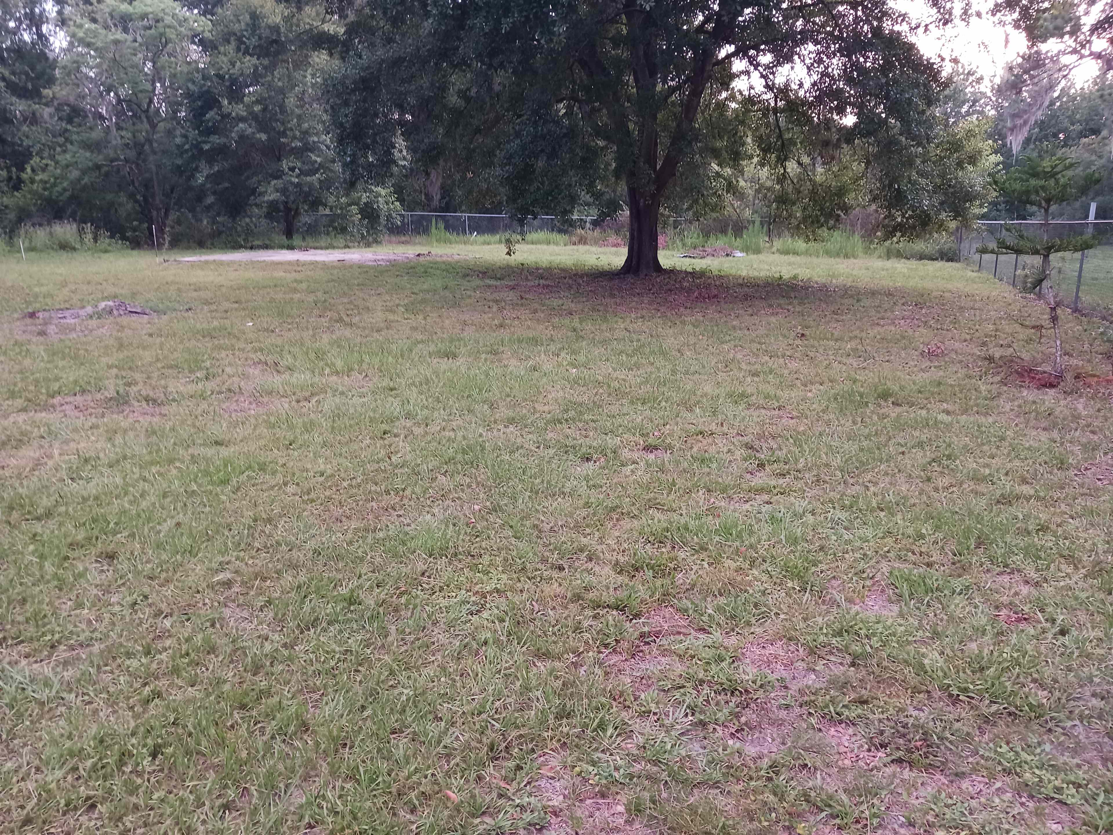 Fenced-in pet area with concrete pad and hose spigot.