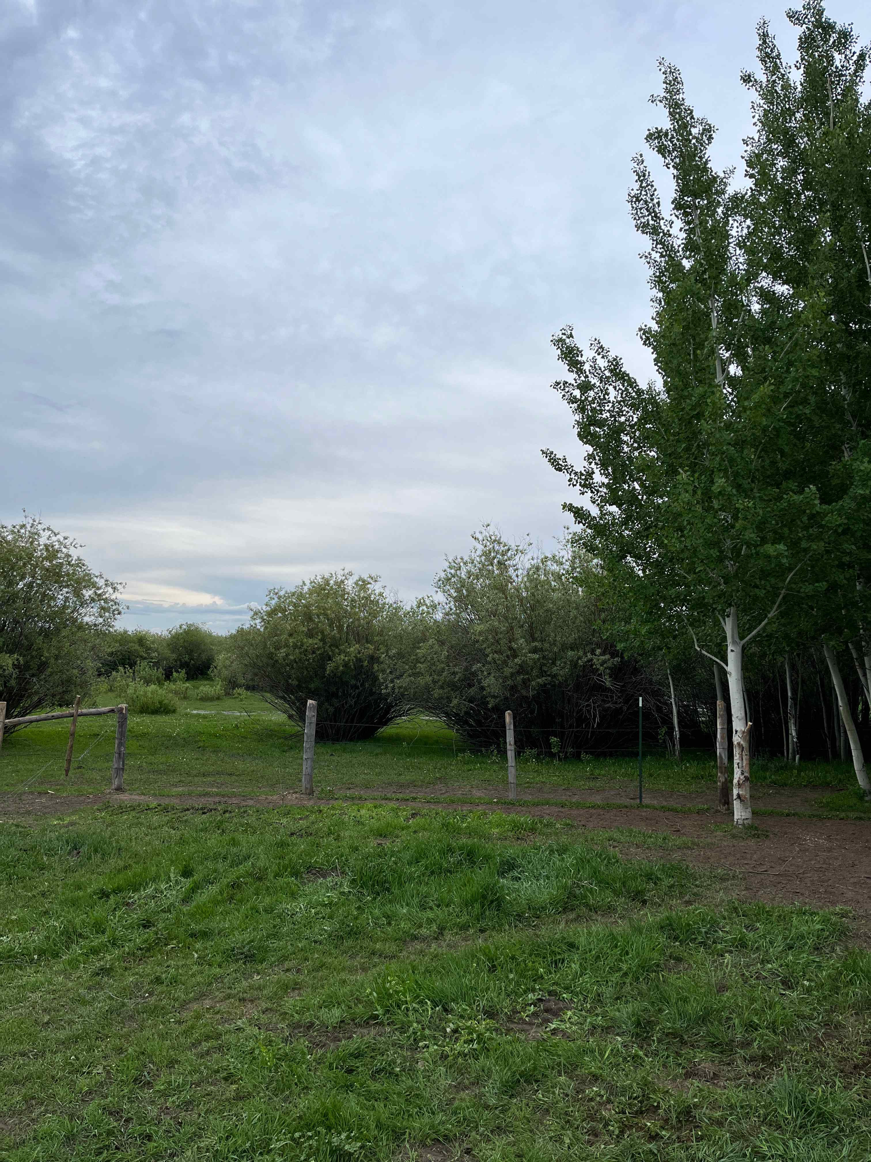 Buffalo Springs Campsite