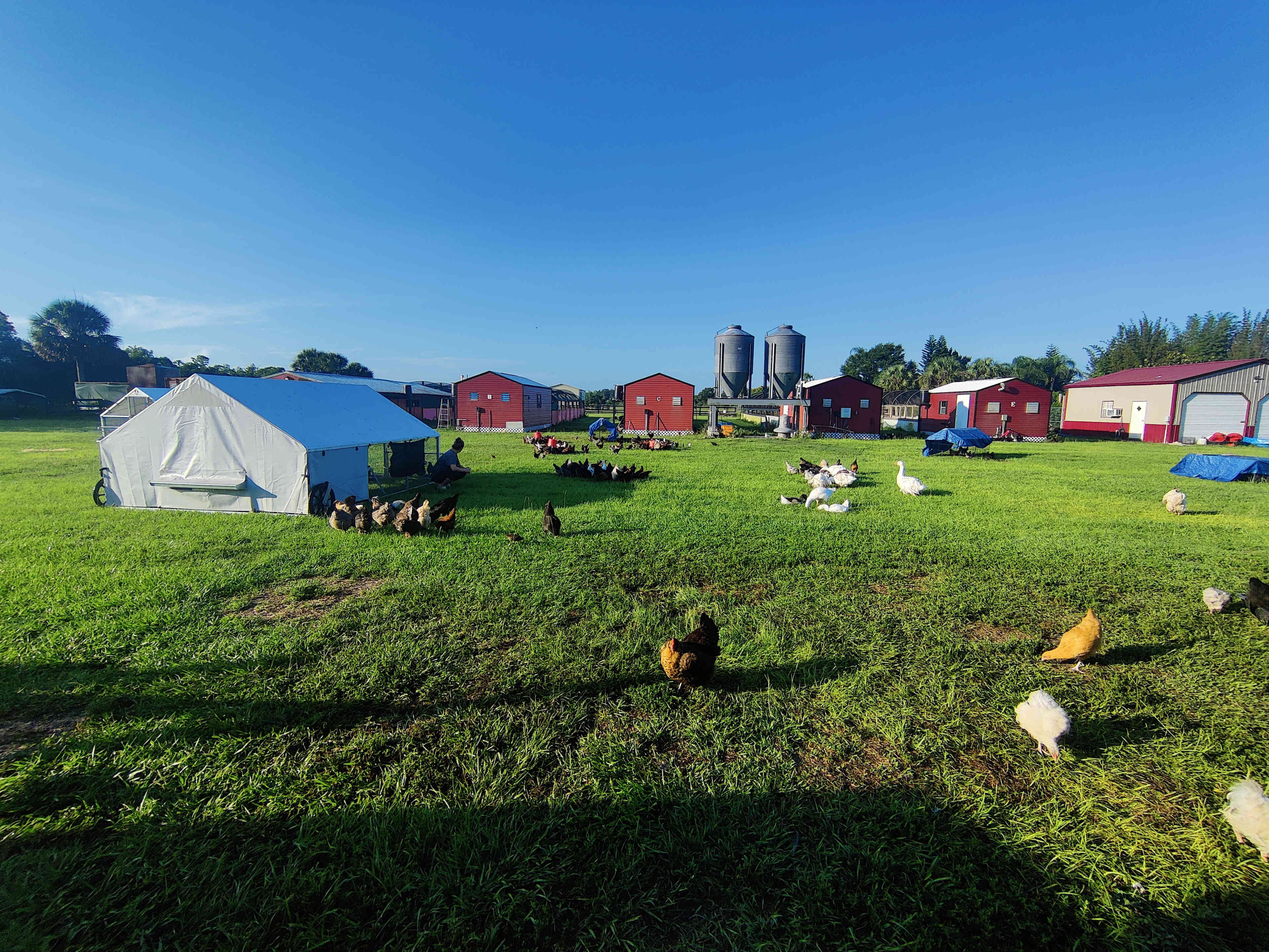 FireFly Farm