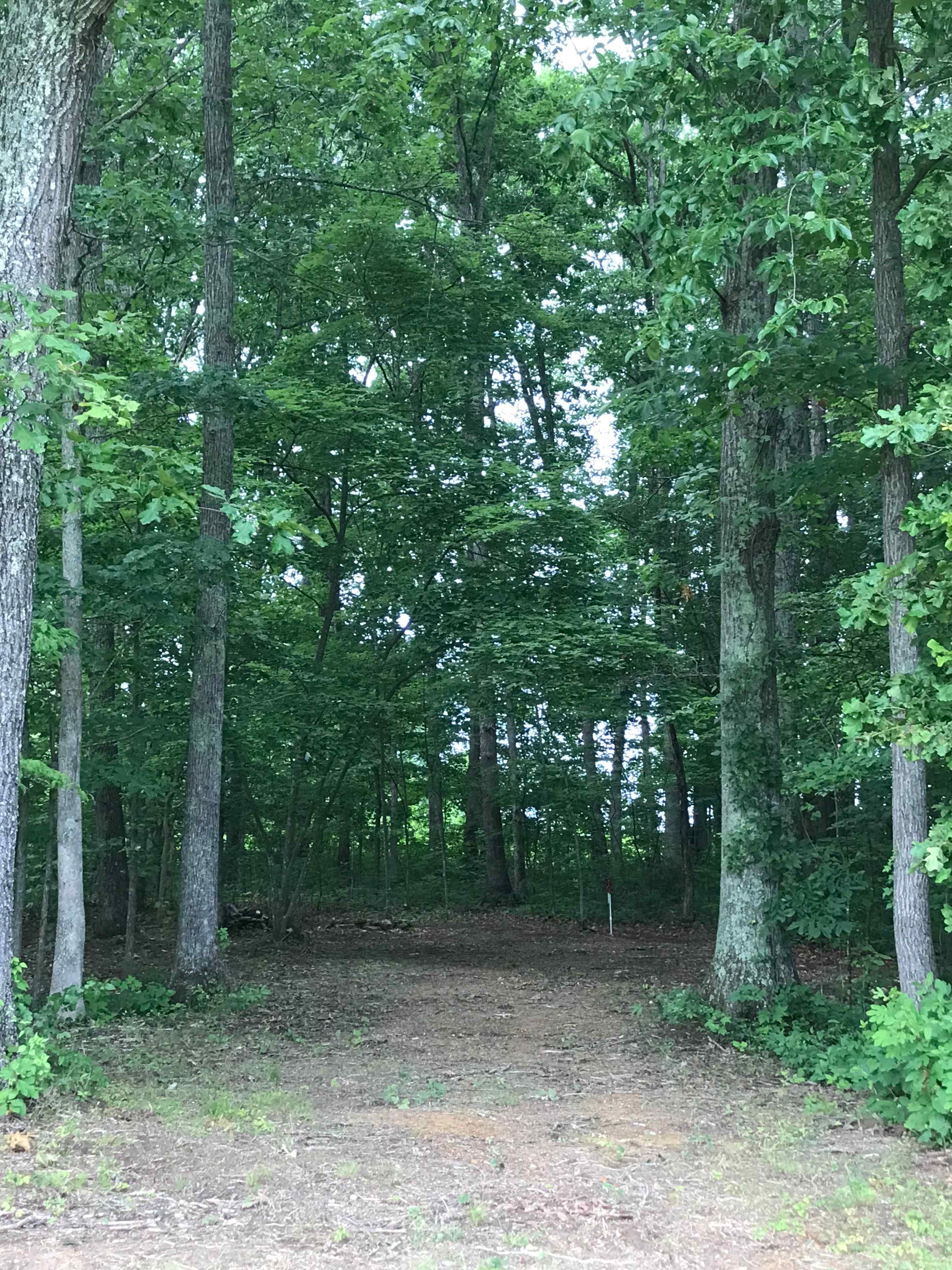 Backyard Warriors