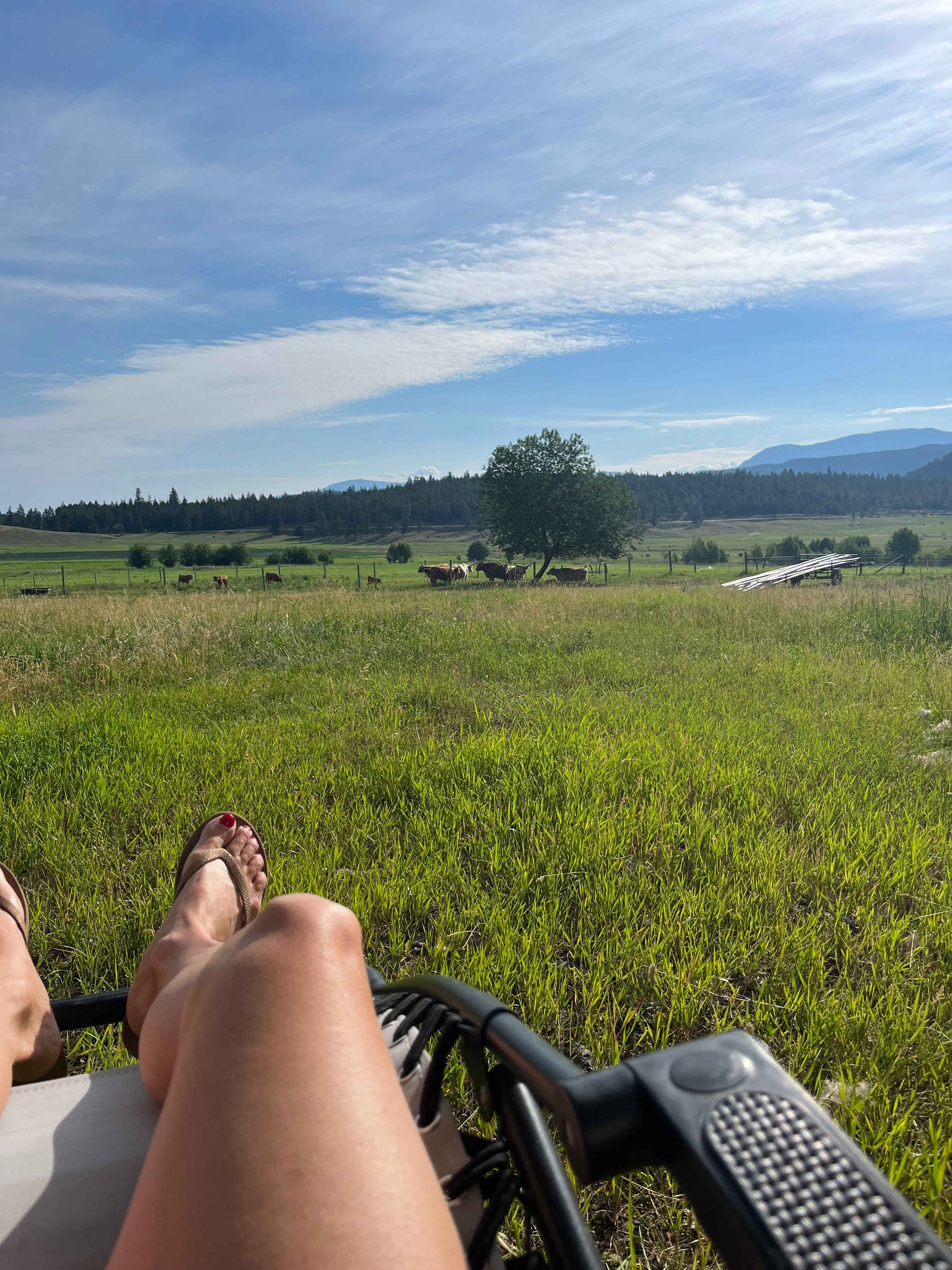 Peaceful! 