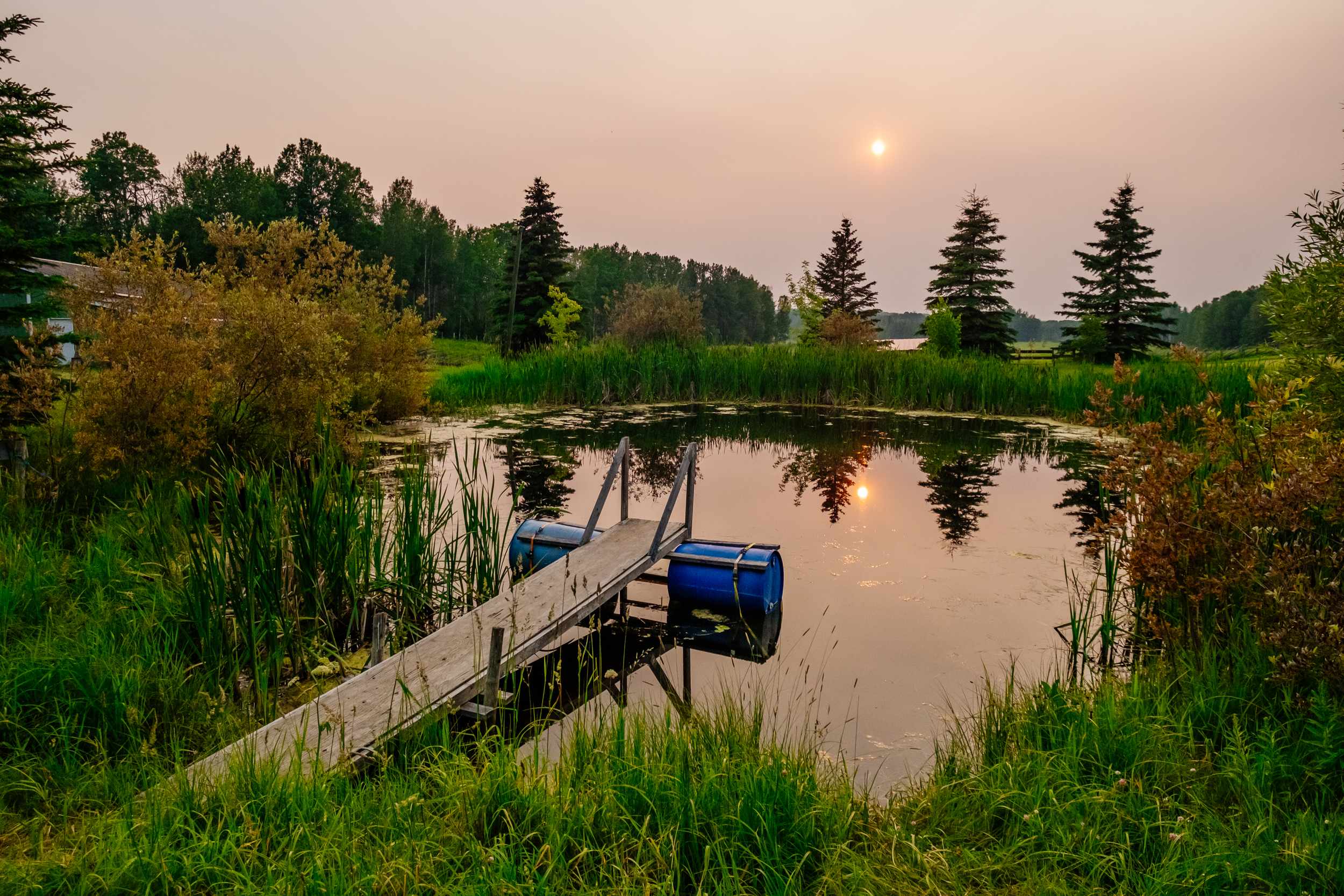 Pretty pond with great view of sunset.