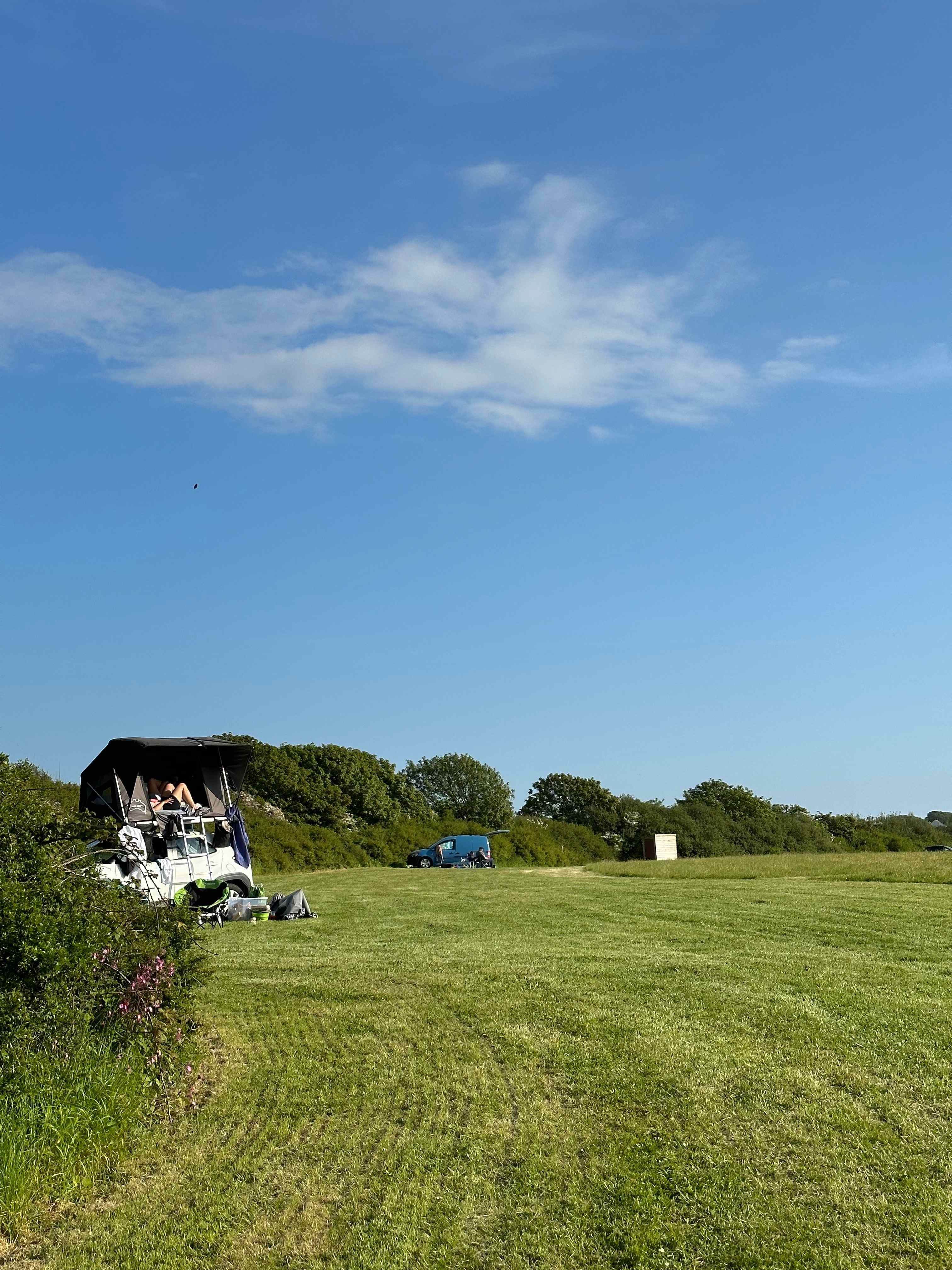 Springfield Farm & Wild Camping