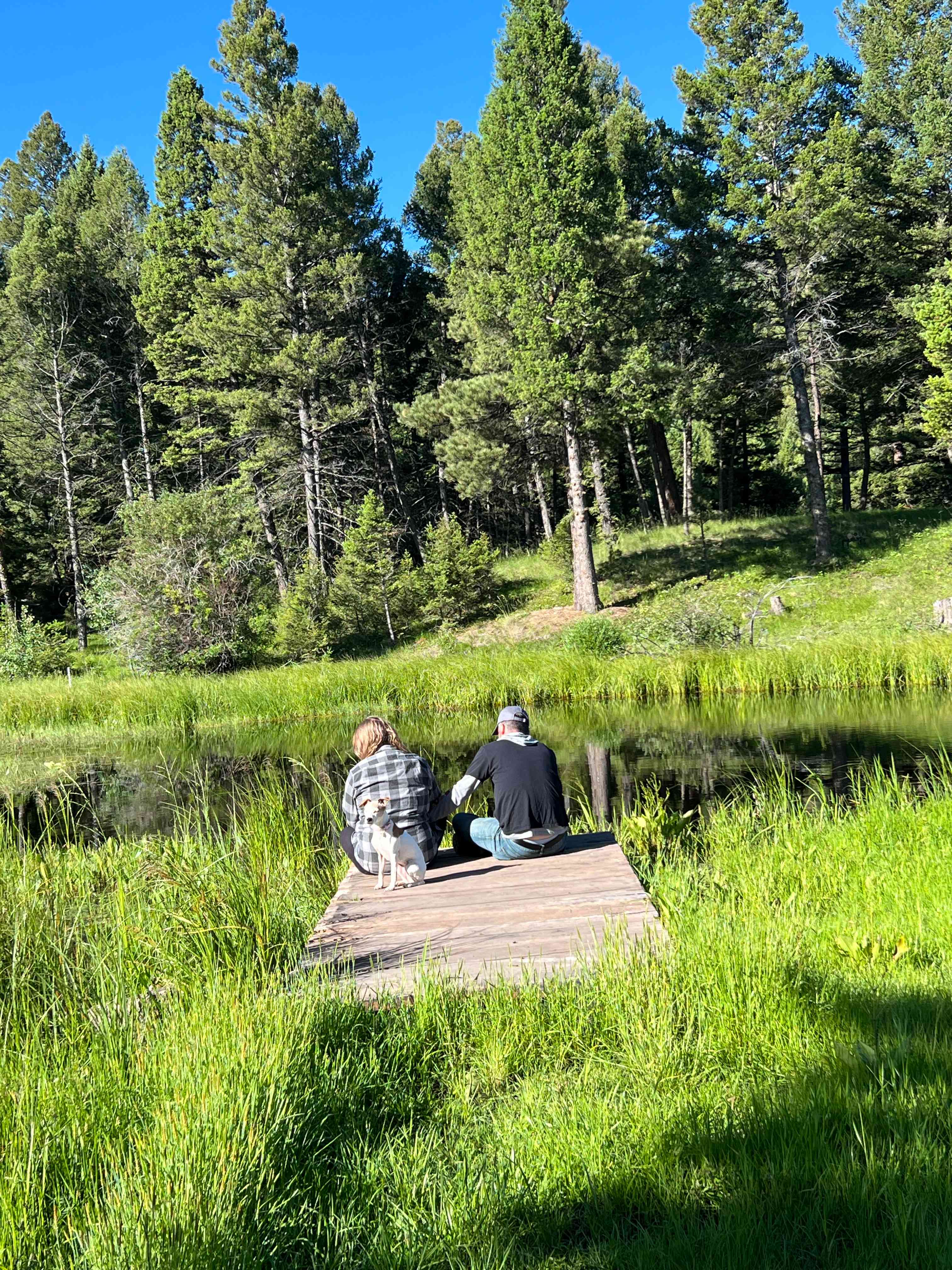 Mile High Mountain Homestead
