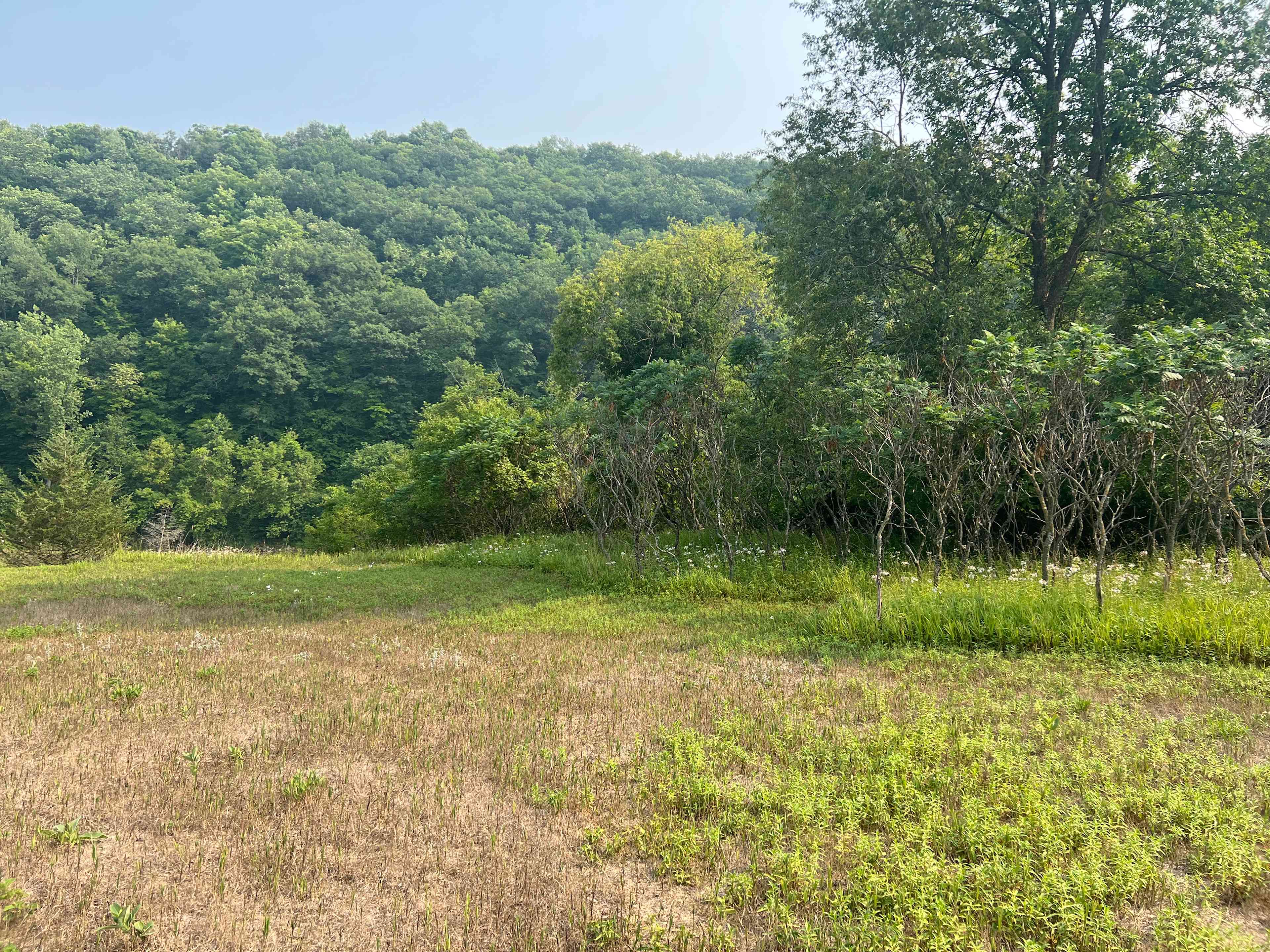 East camp site area 