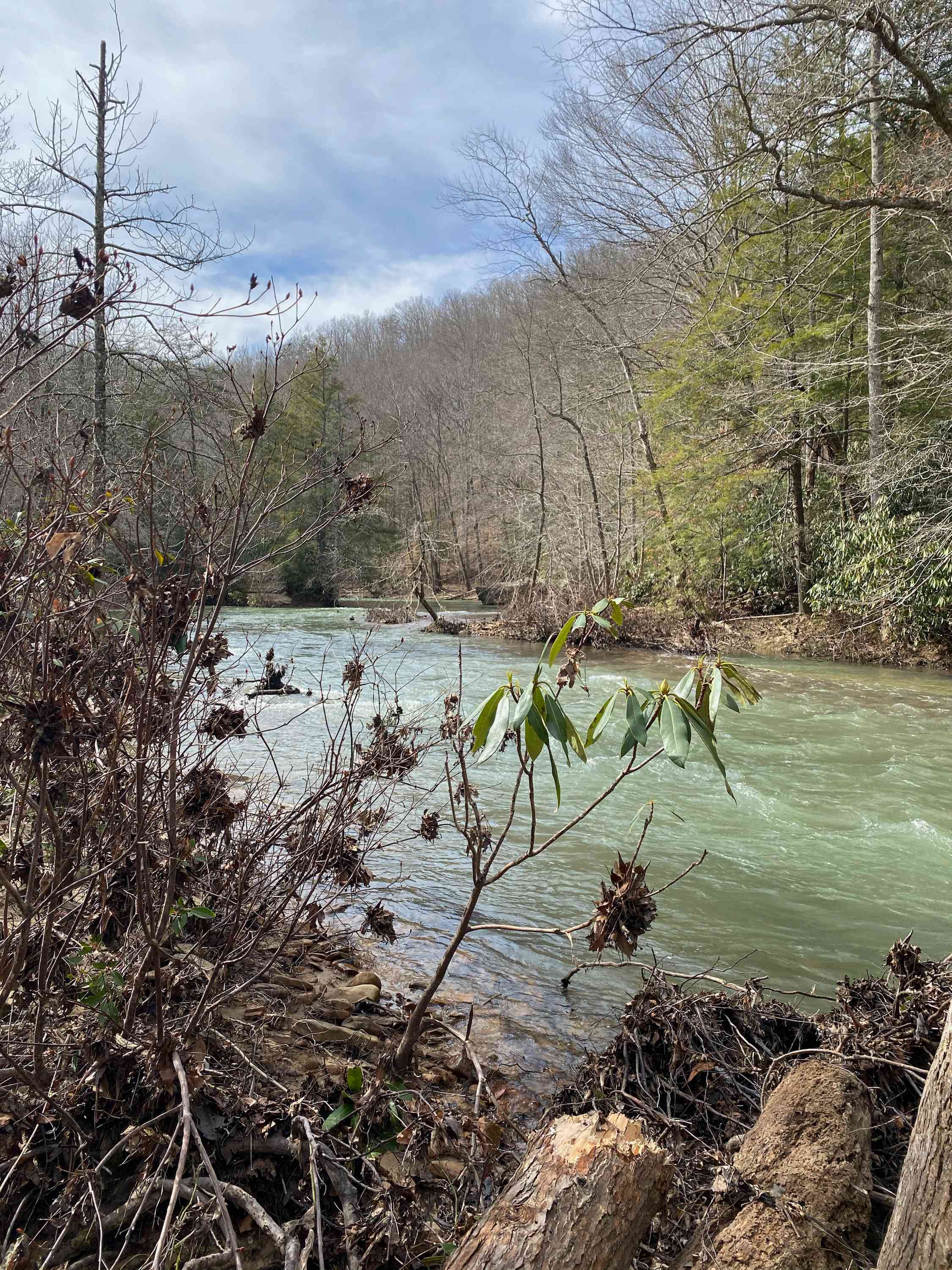 Muddy Pond River Retreat