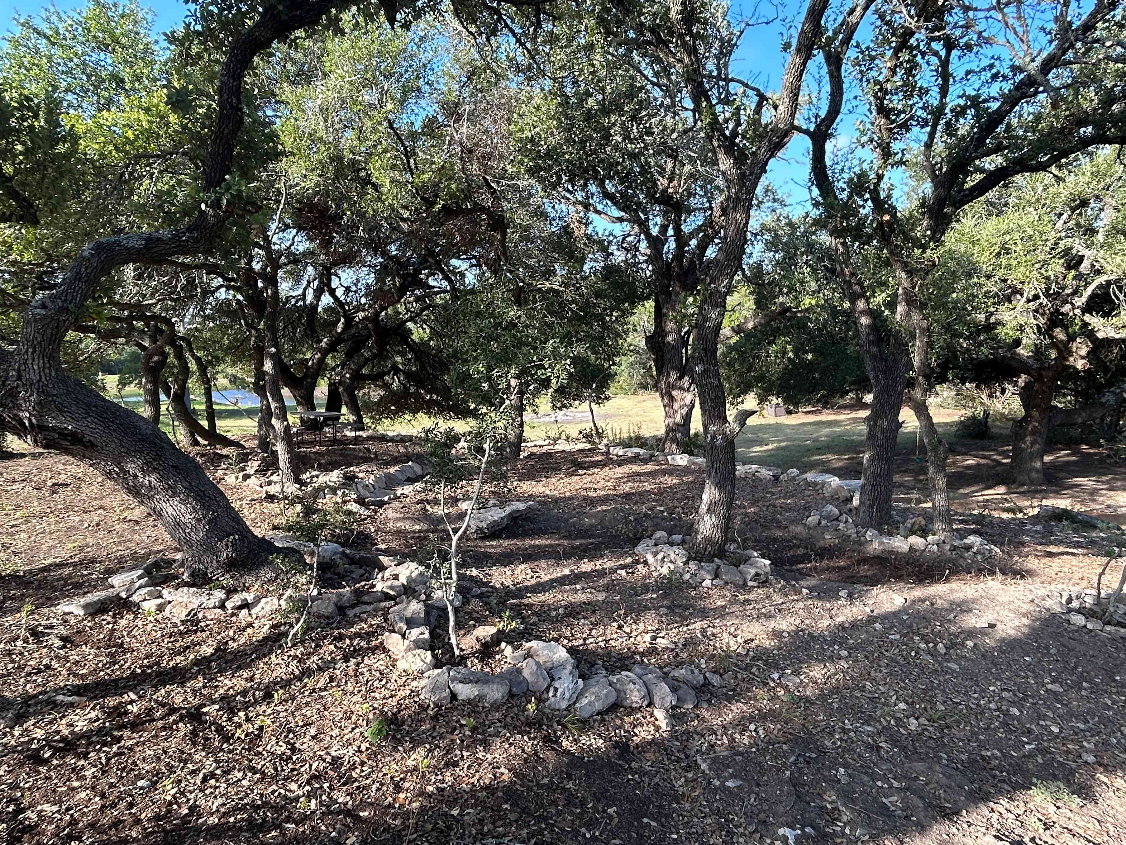 Picnic table under the trees, pond in background