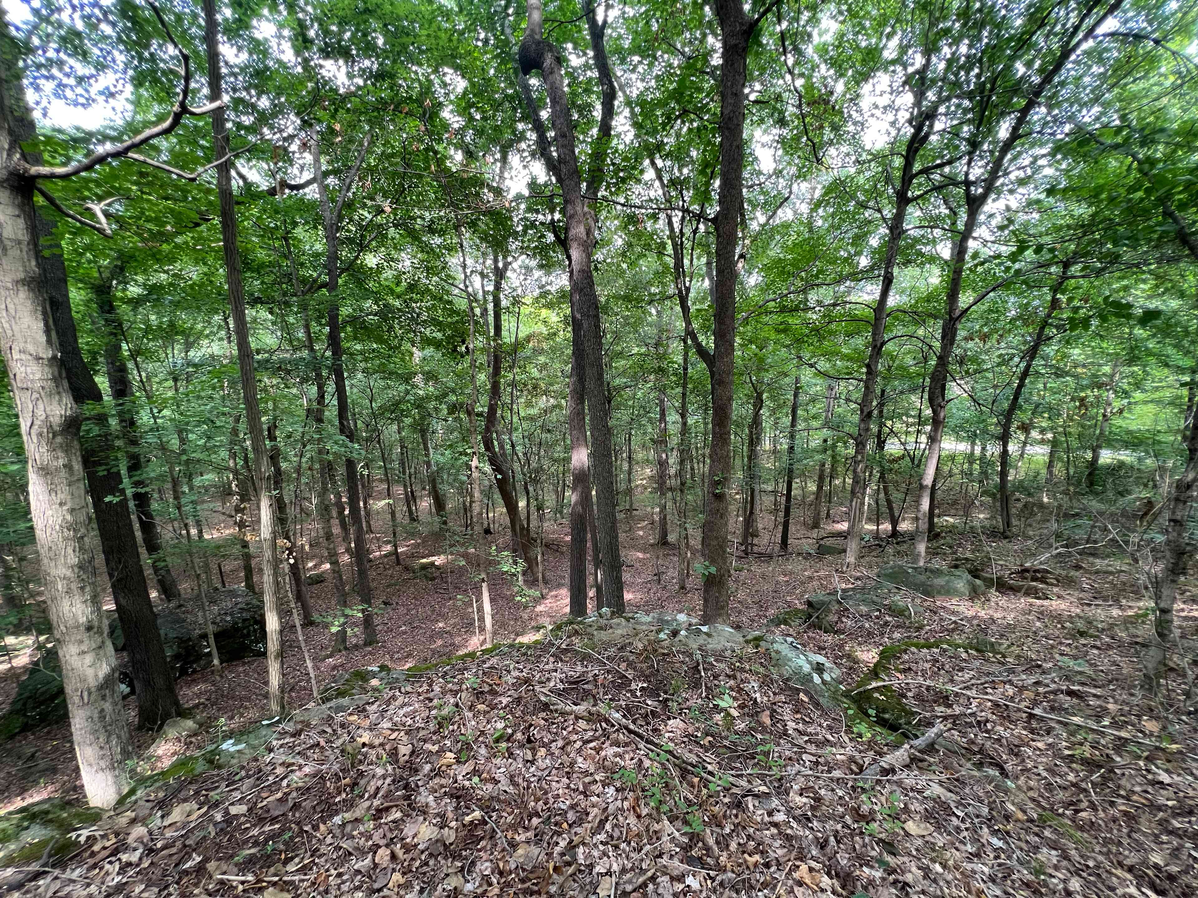 Hidden Bluff Primitive Camp