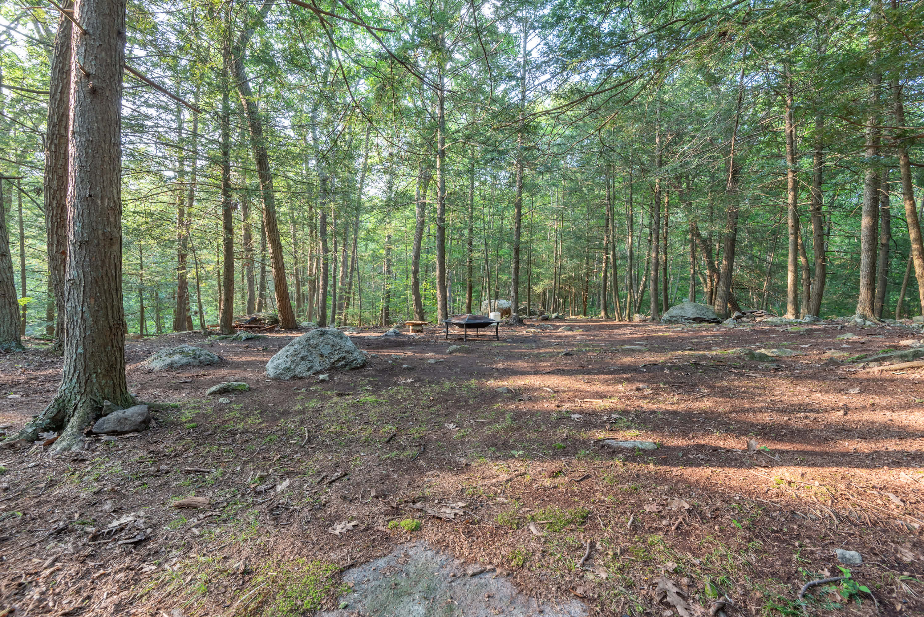 Site 8.