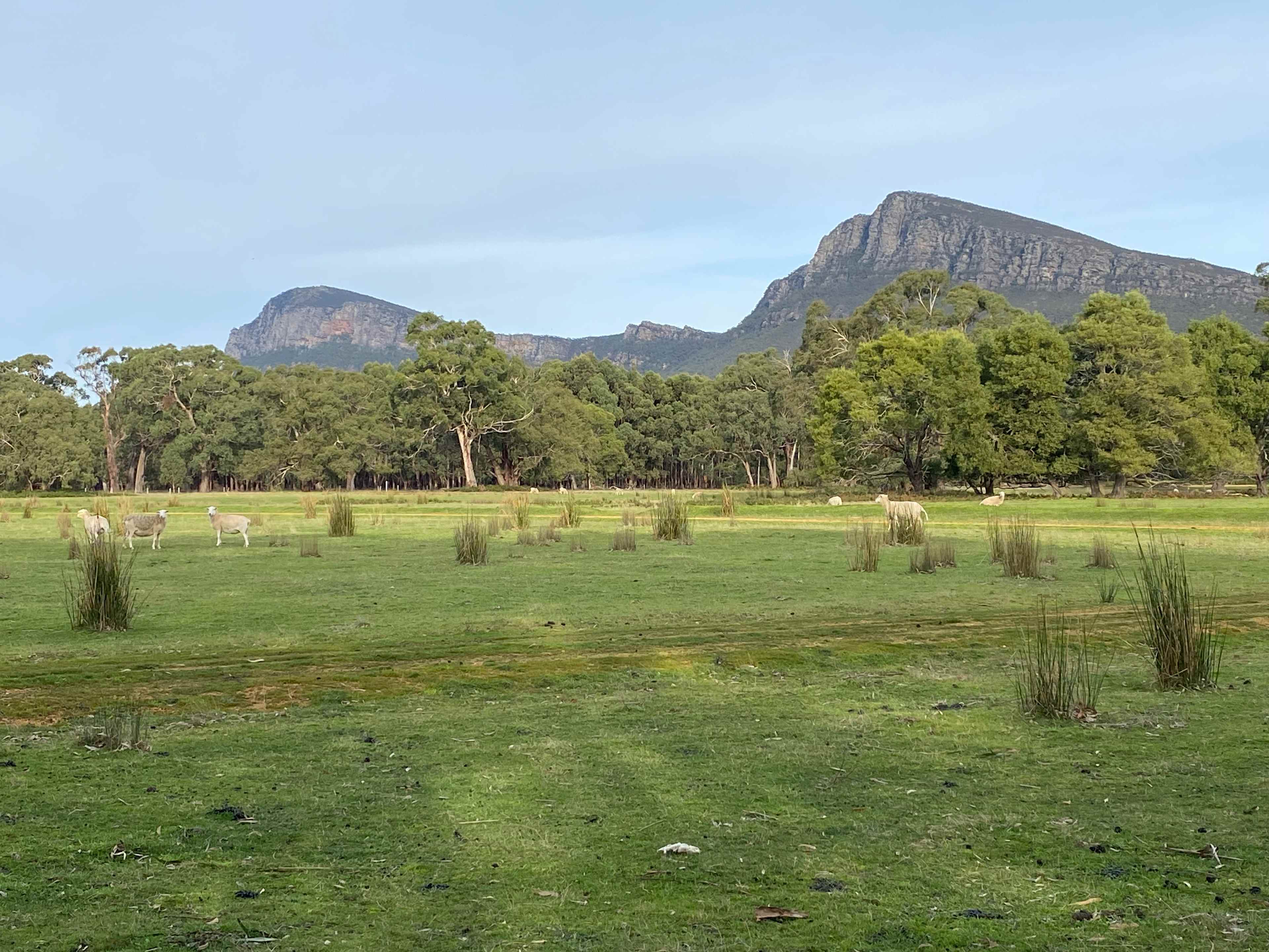 Wannon River Farm