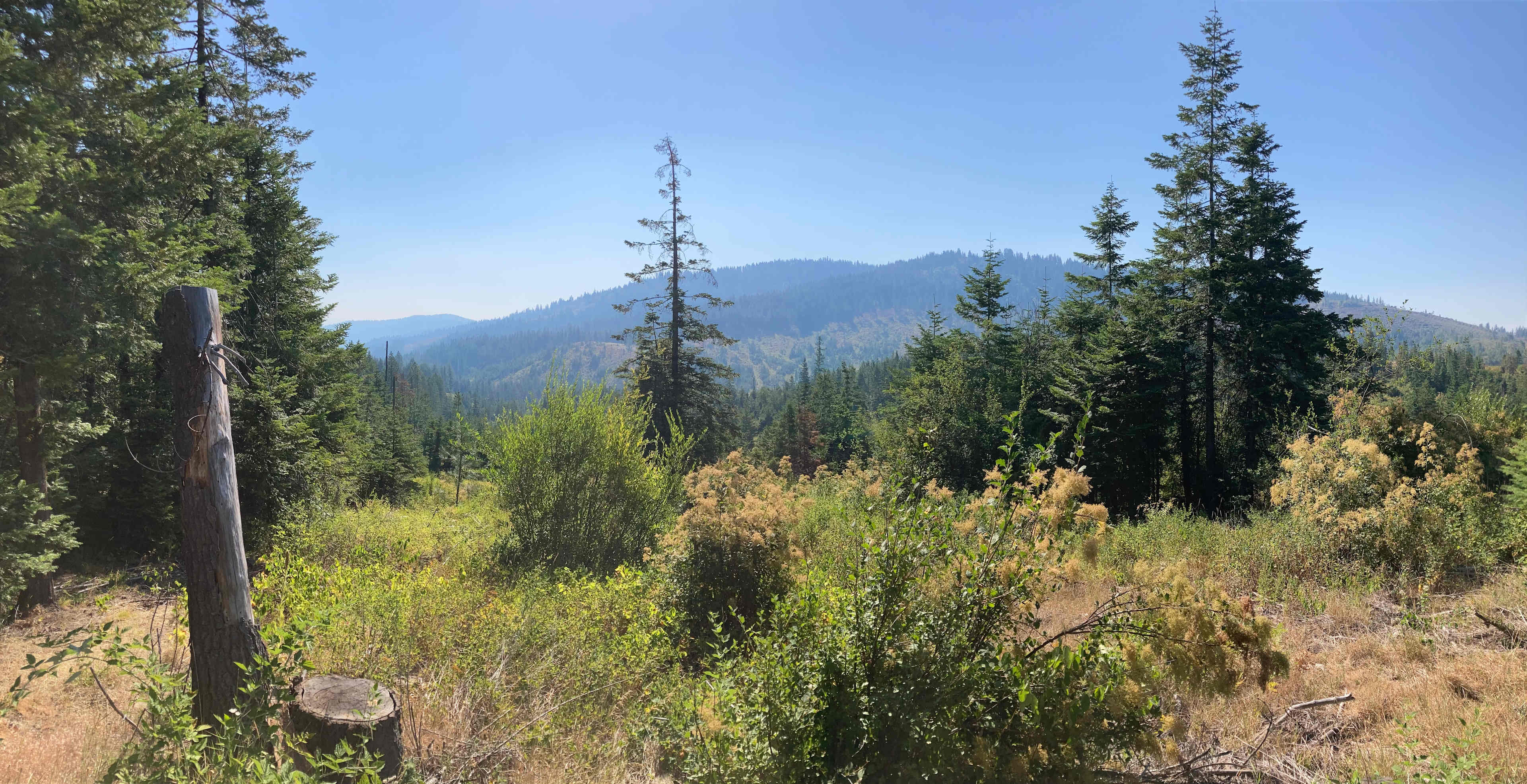 David's Hodge Podge Lodge Camping