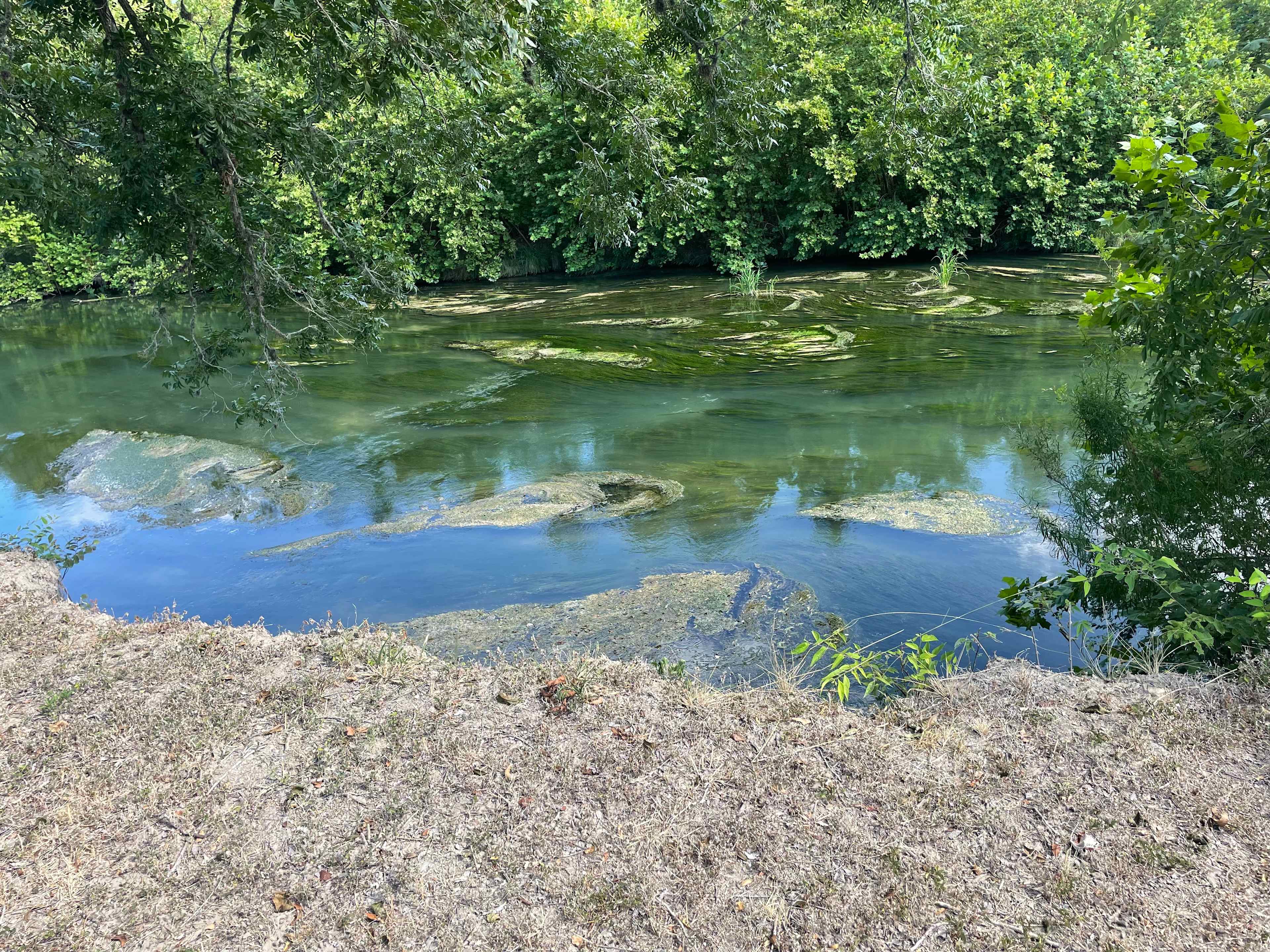Scenic Guadalupe River RV Site