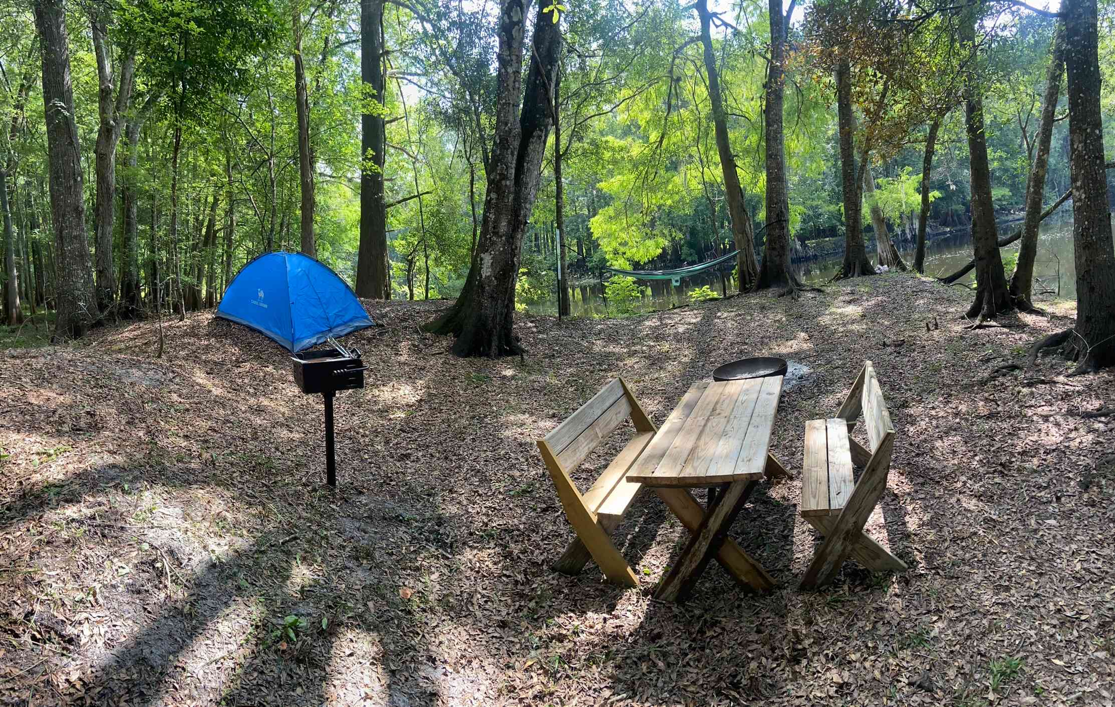 Primitive Island on Withlacoochee