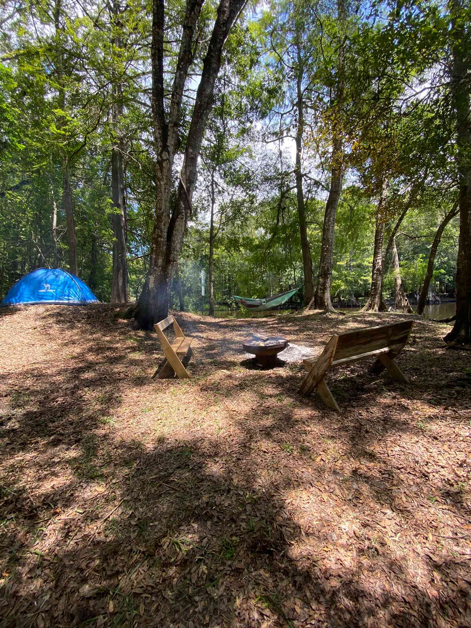 Primitive Island on Withlacoochee