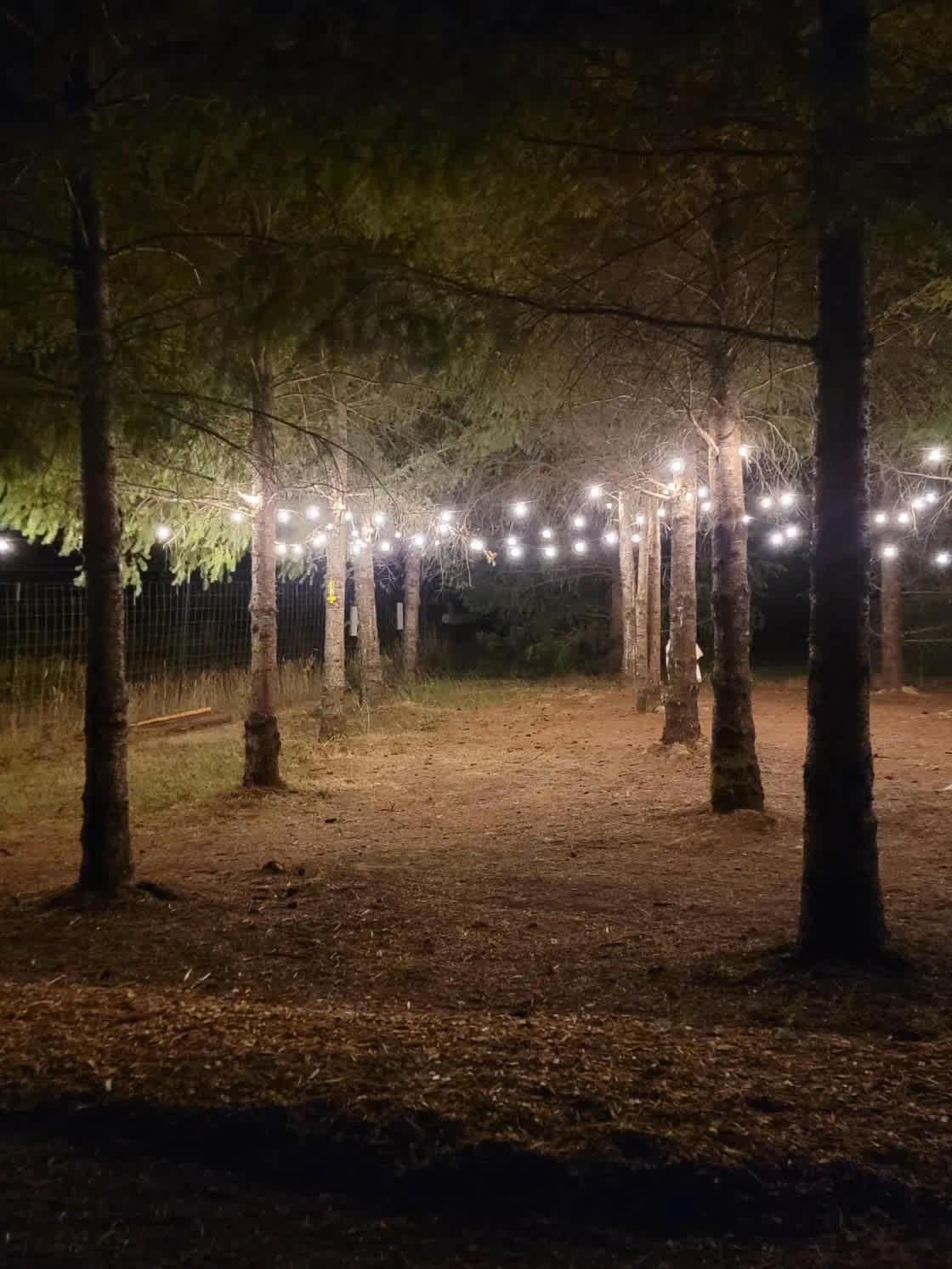 Fernwood Retreat At Bloom Hill