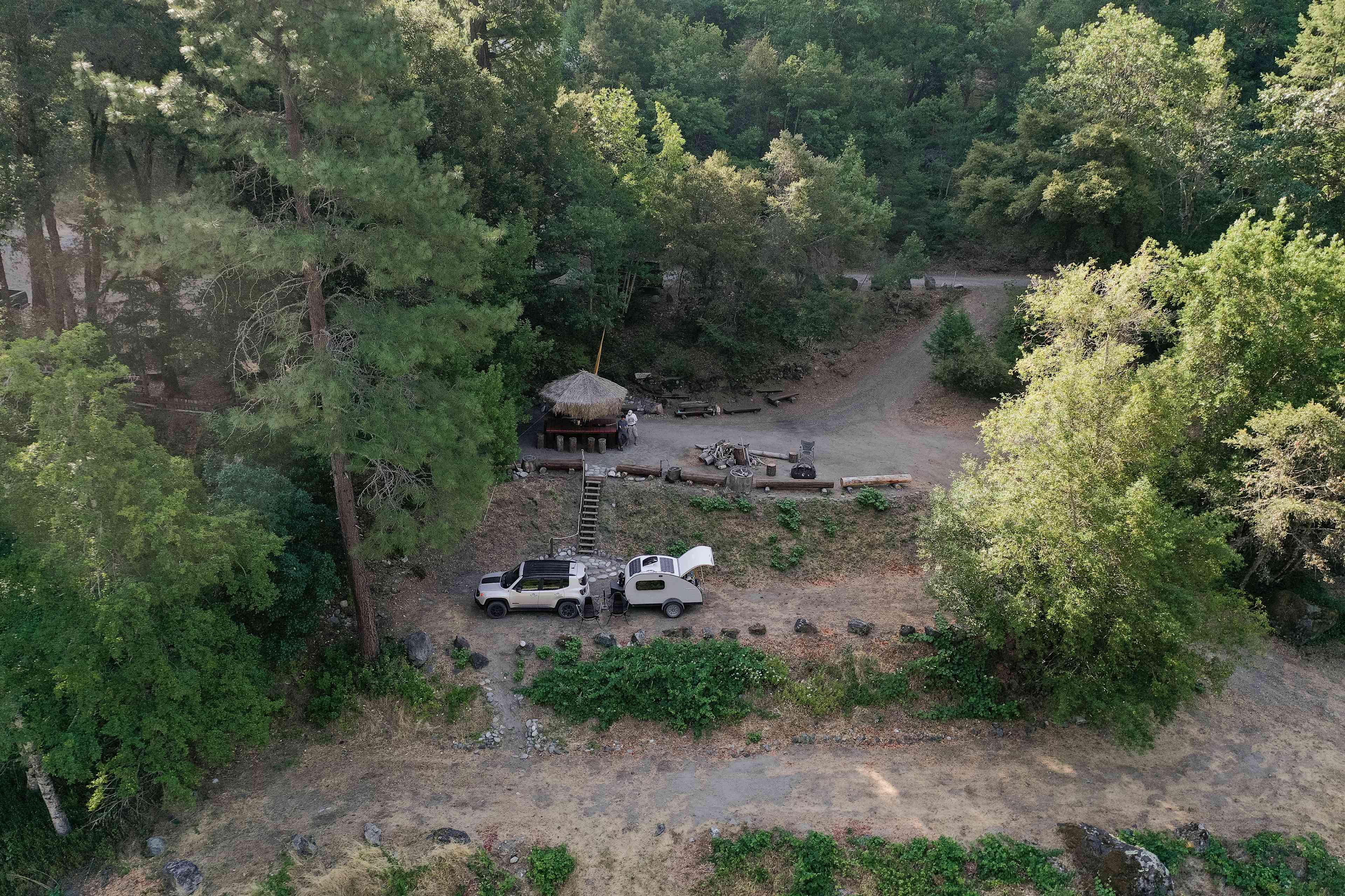 Animal Land