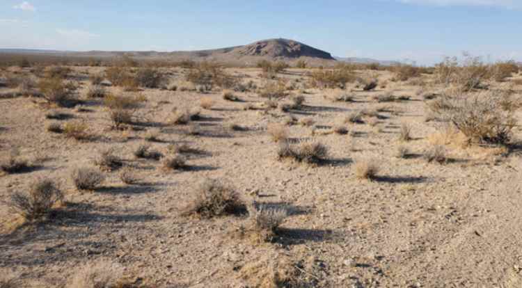 Wasteland fest Desert retreat