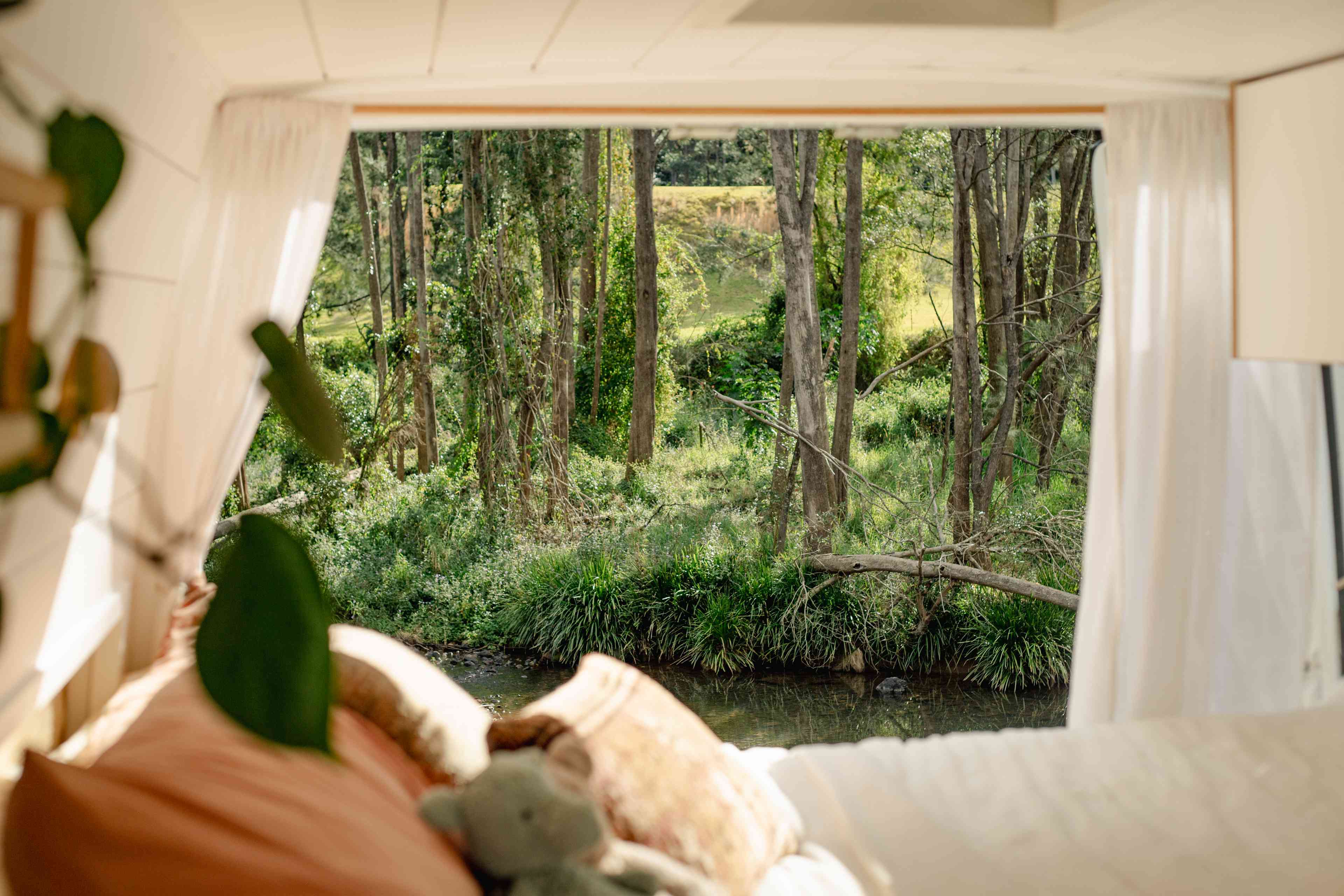 Windmill Creek Camp