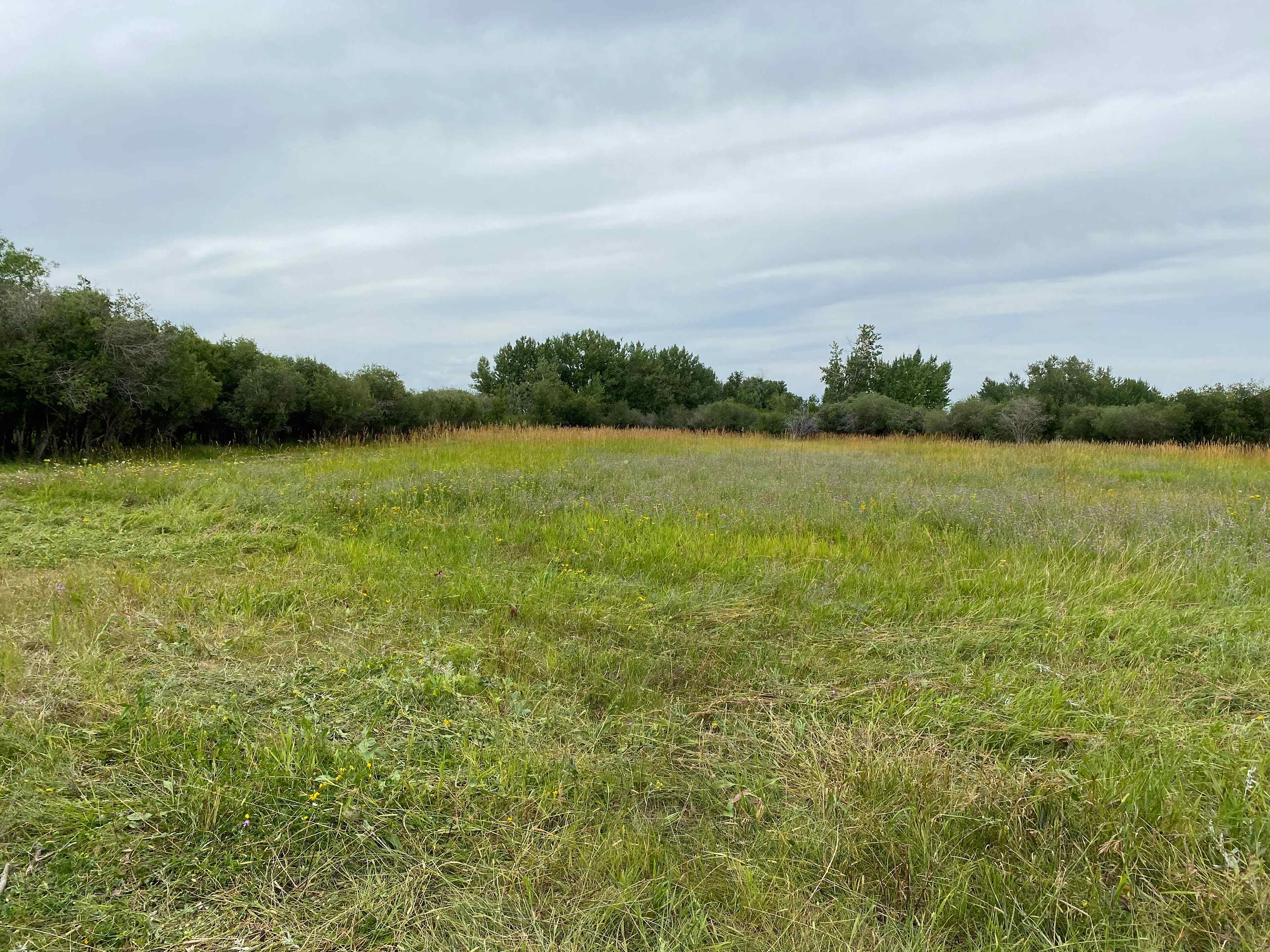 Wide open land