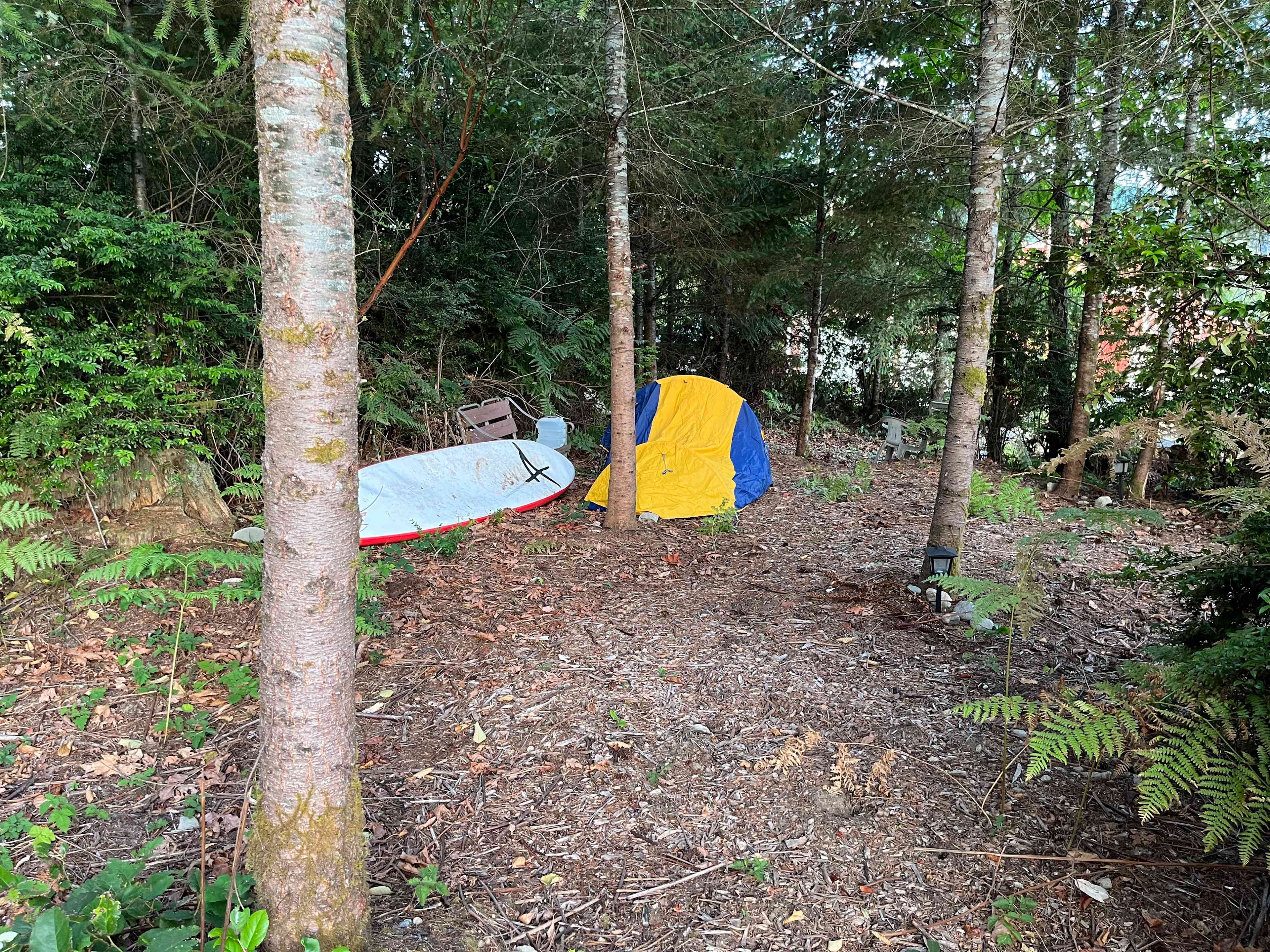 Paddle boarding nearby 