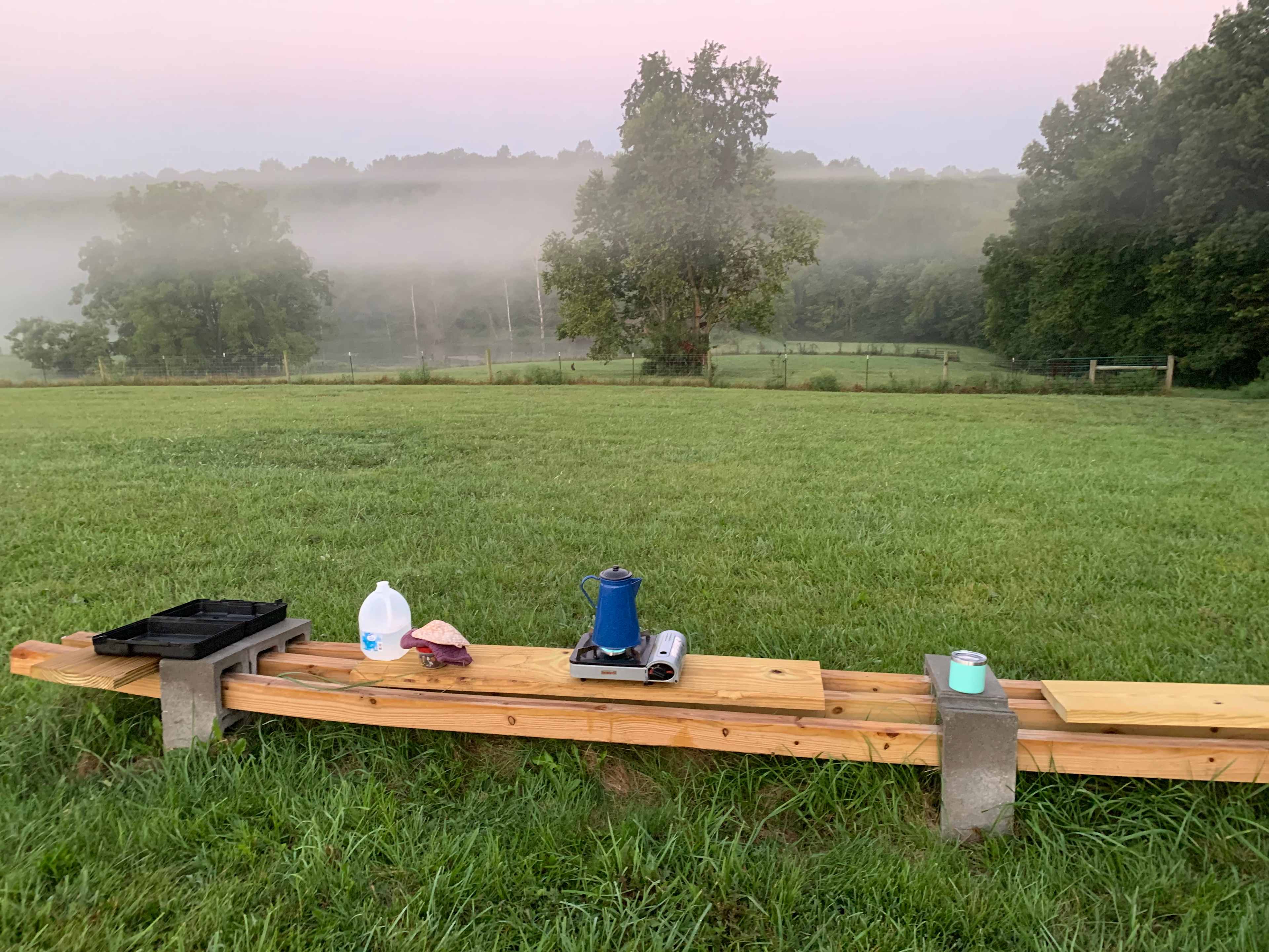 Morning overlooking the pond 
