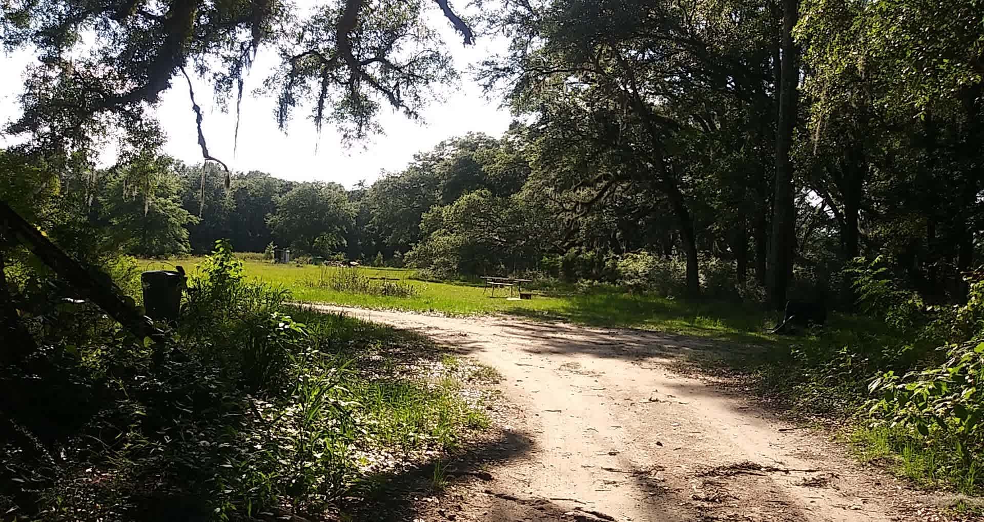 The Hammock Under the Oaks