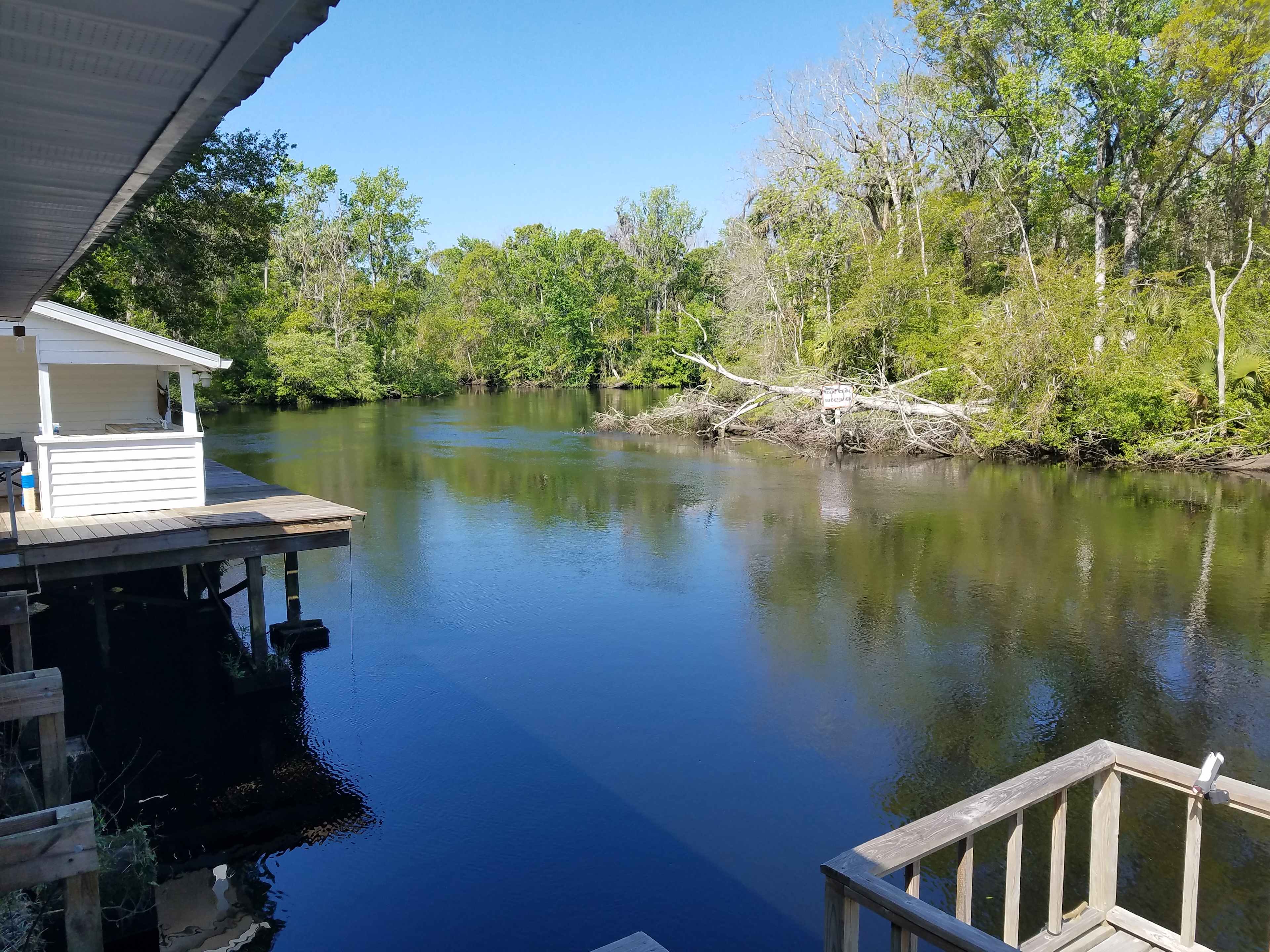 River Rise Cottage On the Aucilla